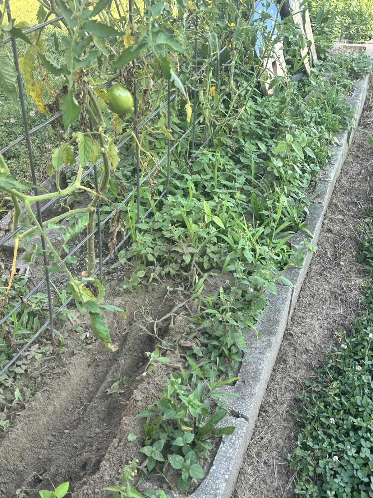 Cordless Tiller Cultivator for Gardening, Battery Powered Garden Rototiller customer photo 2