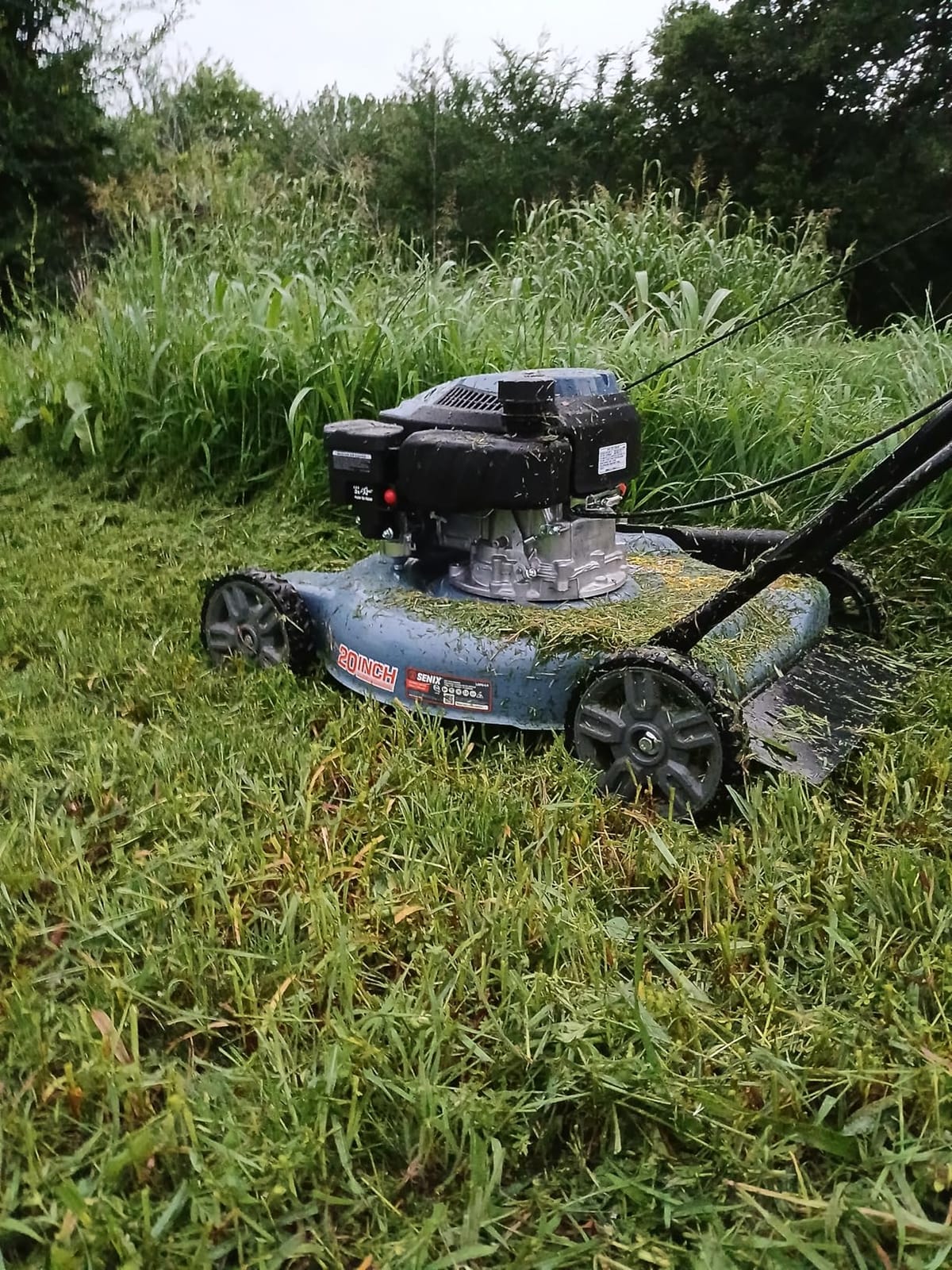 SENIX 201cc 22
