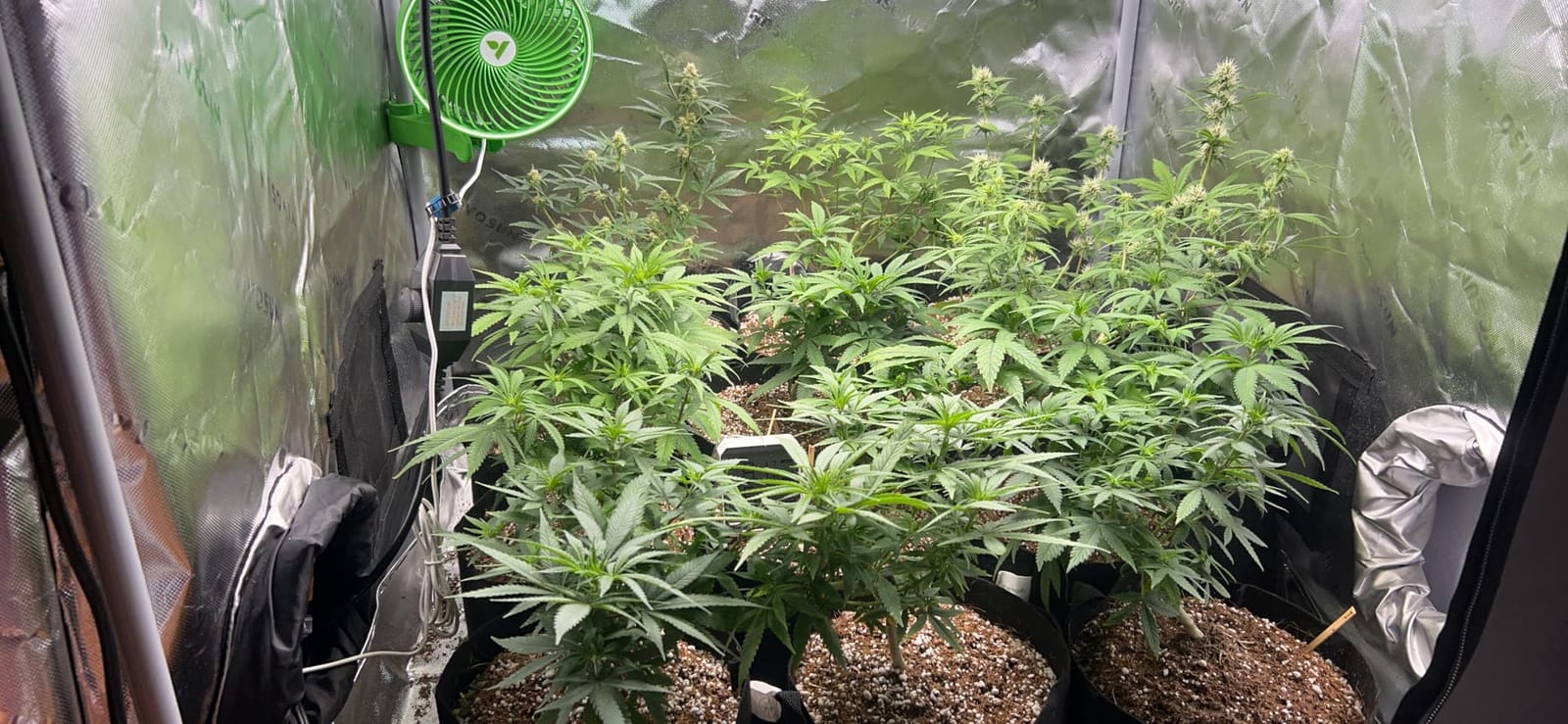 Bluelab Commercial Truncheon Digital Nutrient Meter customer photo 1