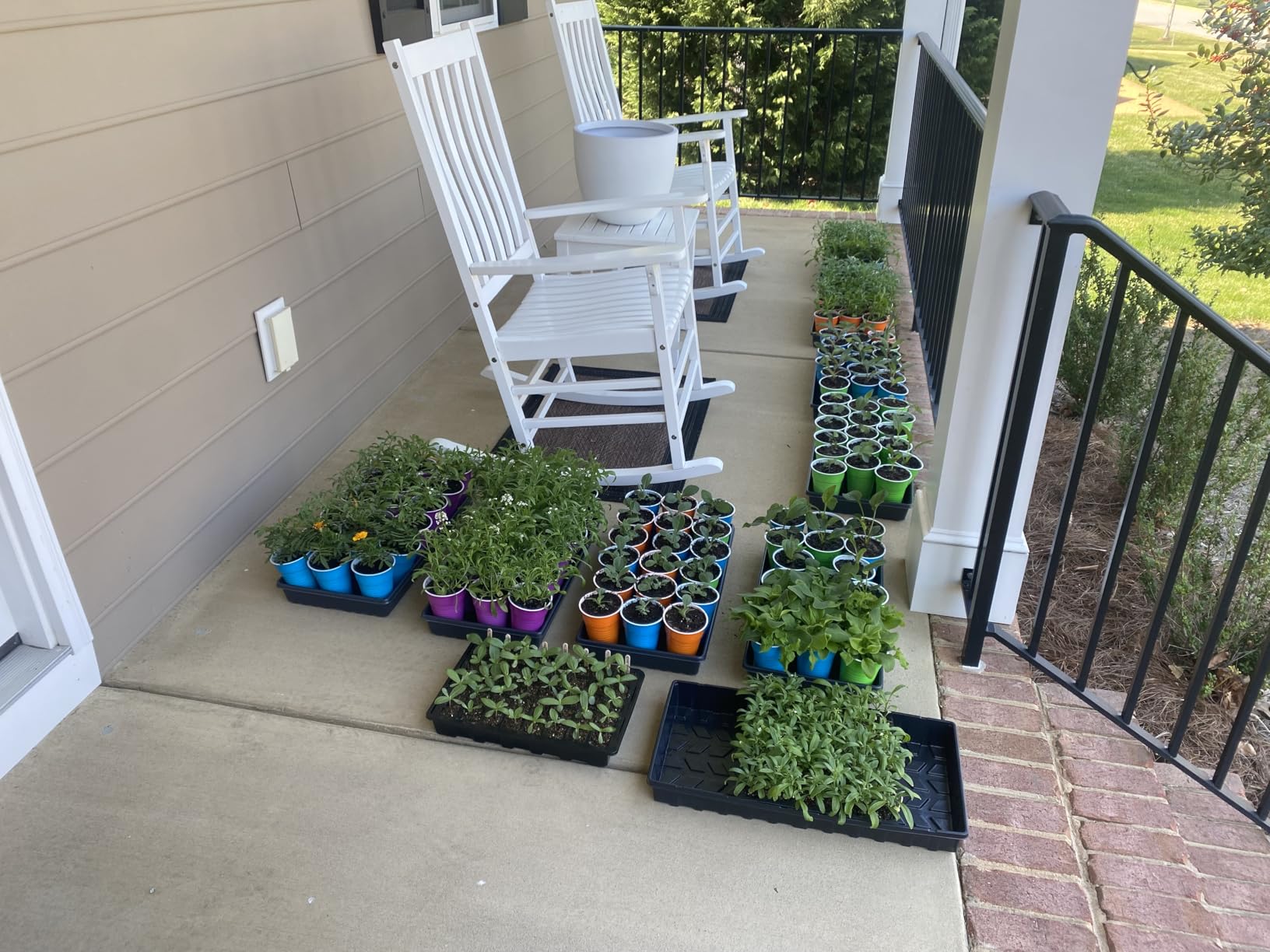 10 Plant Growing Trays (No Drain Holes) - 20