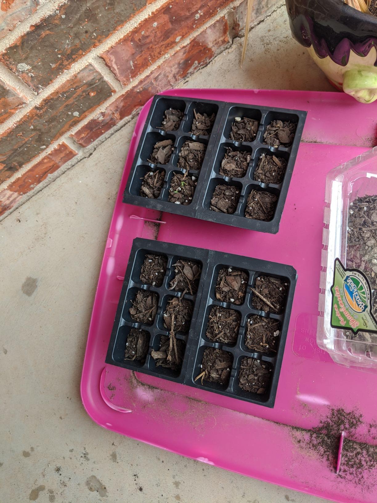 Seedling Starter Trays, 720 Cells: (120 Trays; 6-cells Per Tray), Plus 5 Plant Labels customer photo 2