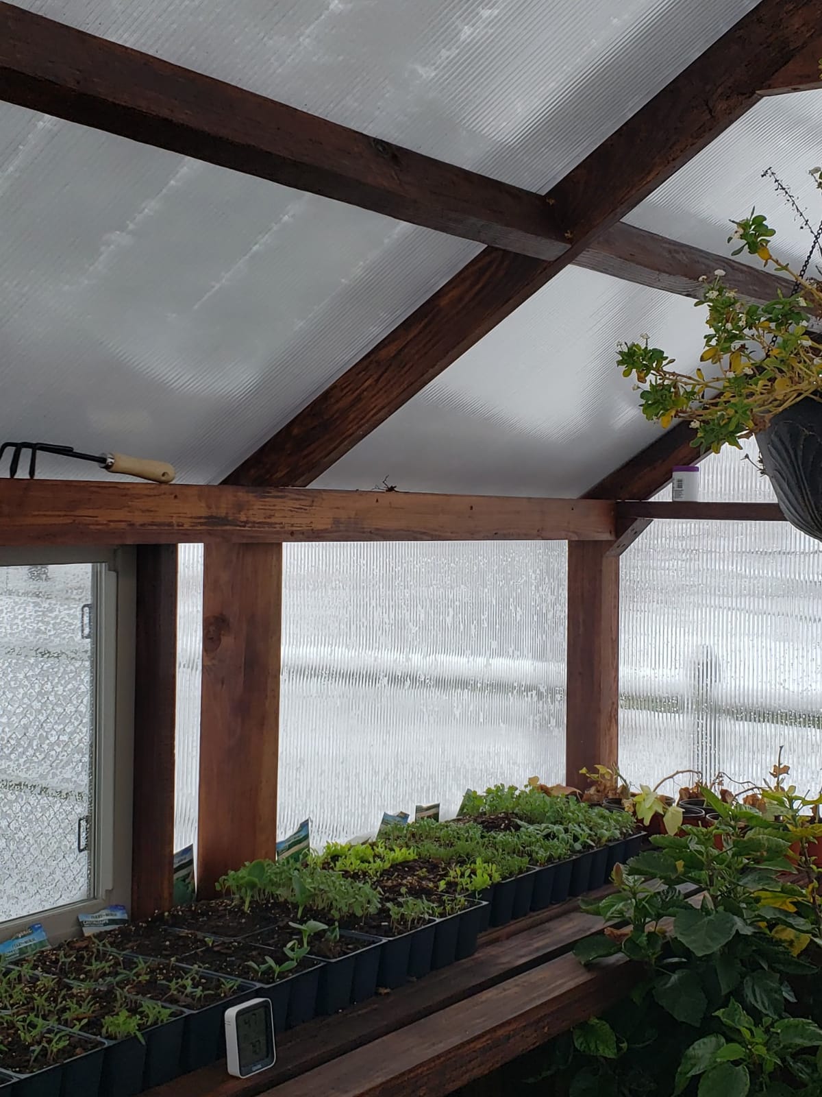 Seed Starter Trays 300 DEEP Extra Large Cells Total (50 Trays of 6 Cells Each) customer photo 1