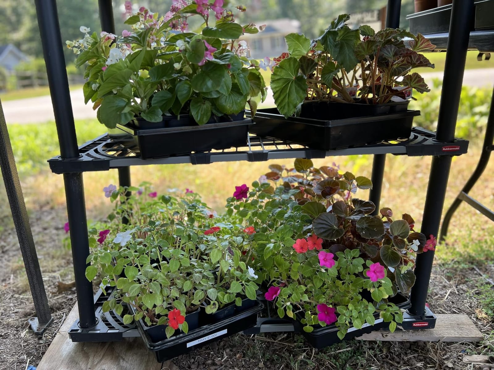 Seed Starter Trays 300 DEEP Extra Large Cells Total (50 Trays of 6 Cells Each) customer photo 2