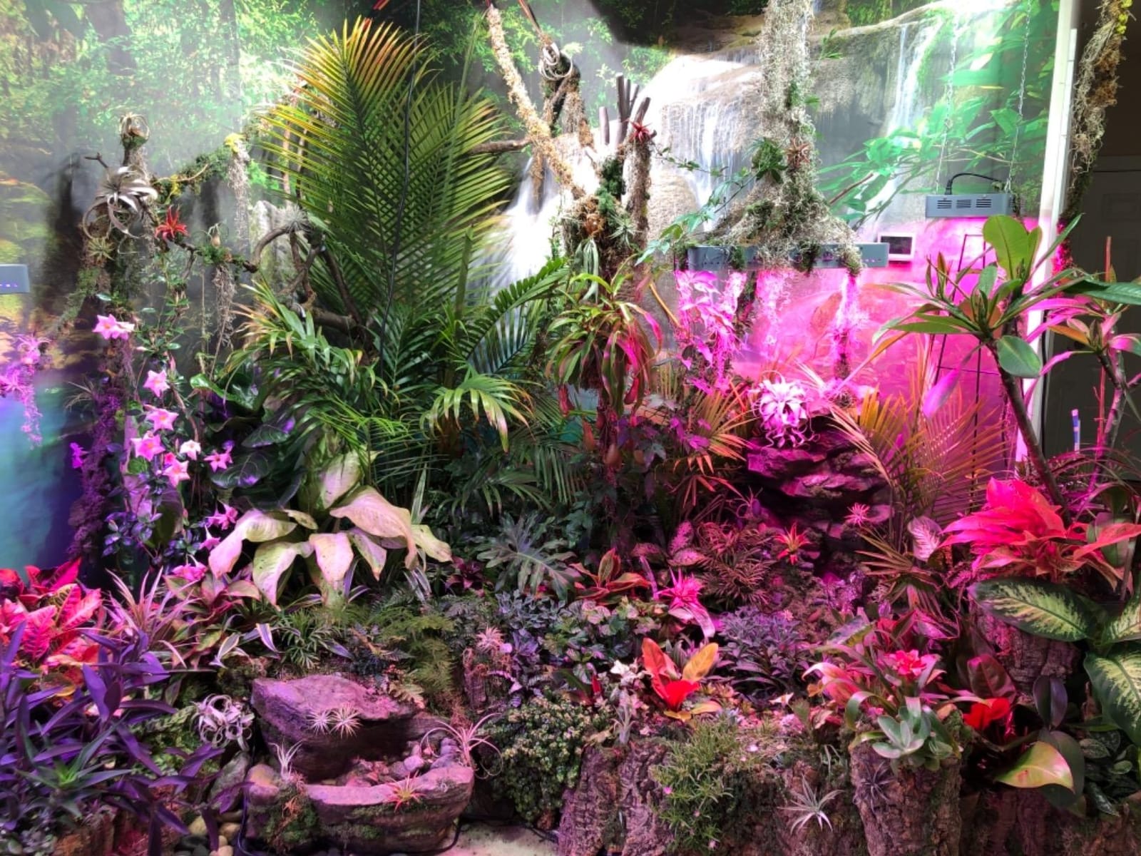 KingLED KP1000 Grow Light for Indoor Plants, Fits 2x2, 2x3 & 2x4 ft Tents customer photo 1