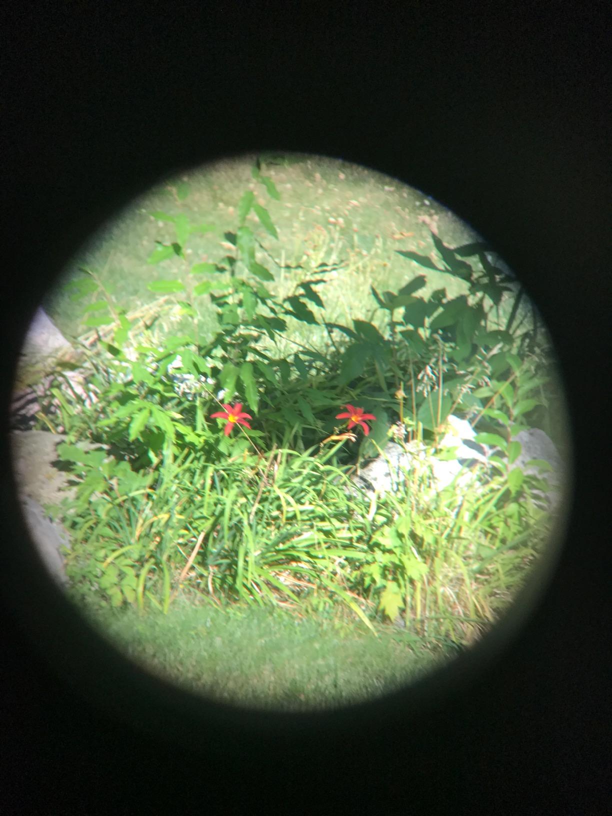 Gosky Titan 12x50 Monocular for Adults High Powered with Phone Adapter customer photo 1