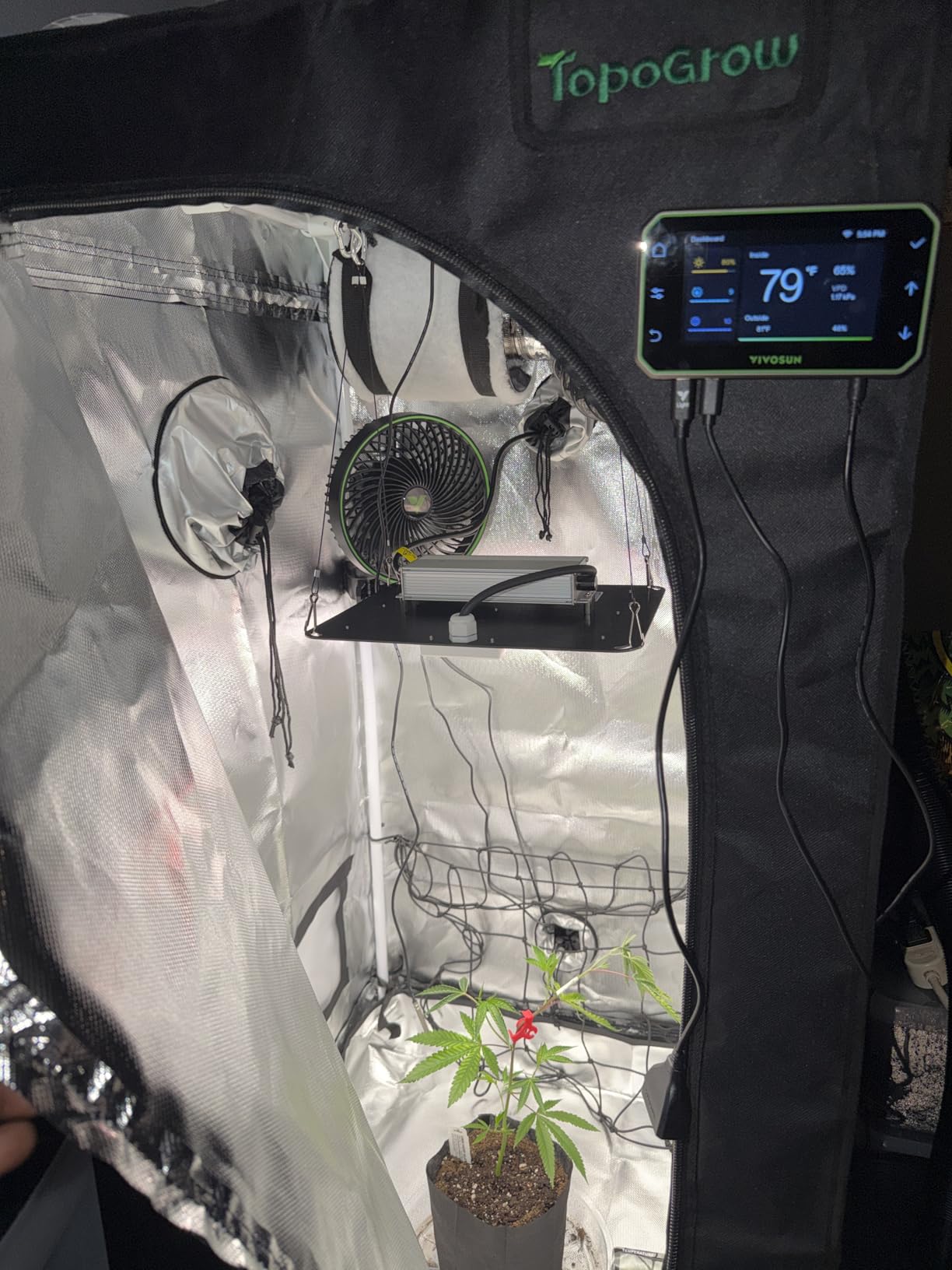 Upgrade Integrated Auto 2'X2' Grow Tent Kit Complete System, S1000 LED Grow Light, Grow Tent with 4“Ventilation Kit, Inline Fan&Carbon Filter, Irrigation Kit, Humidifier and Clip Fan customer photo 1