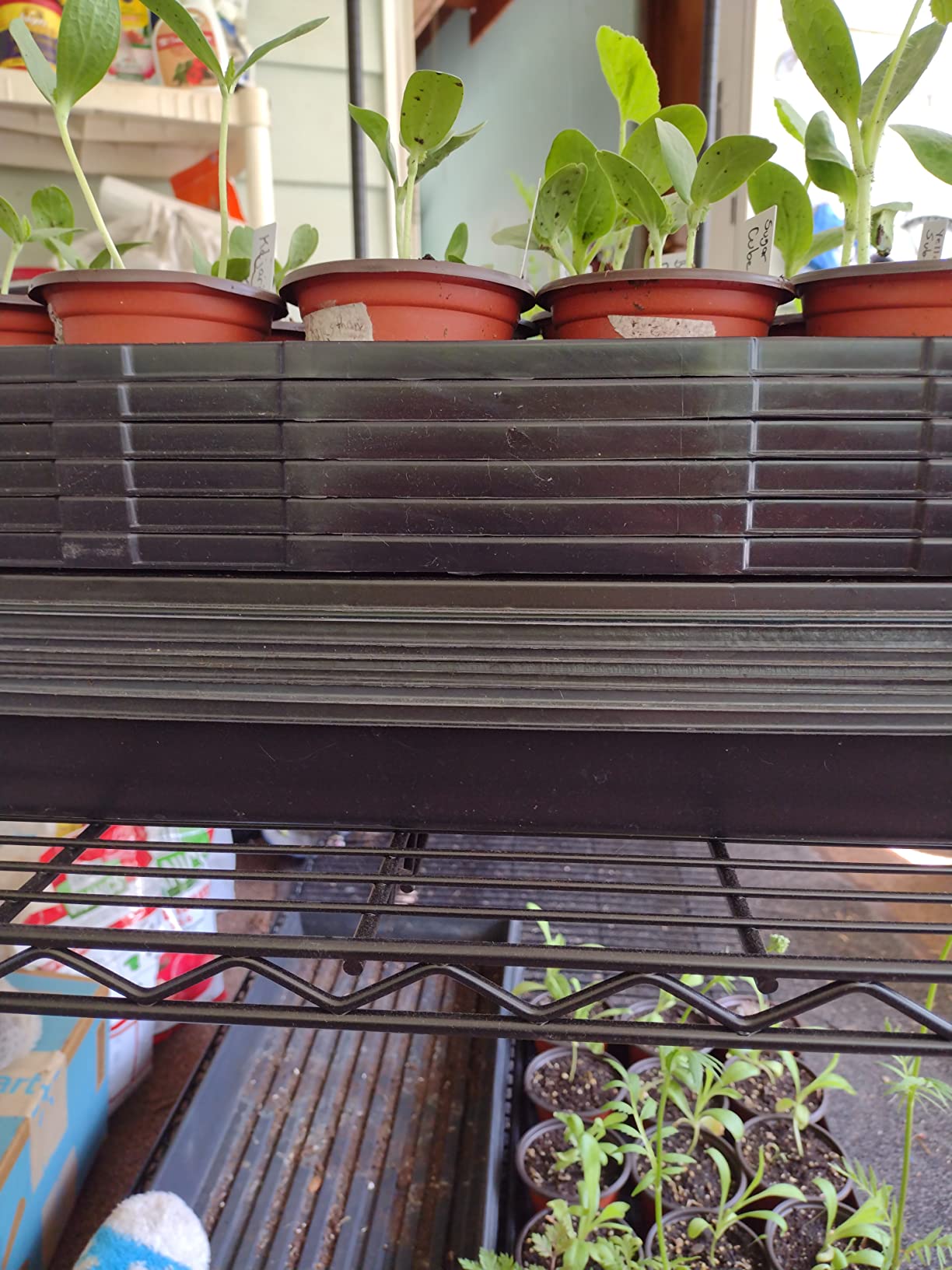 Bootstrap Farmer 1020 Tray with Holes 5 Pack customer photo 1