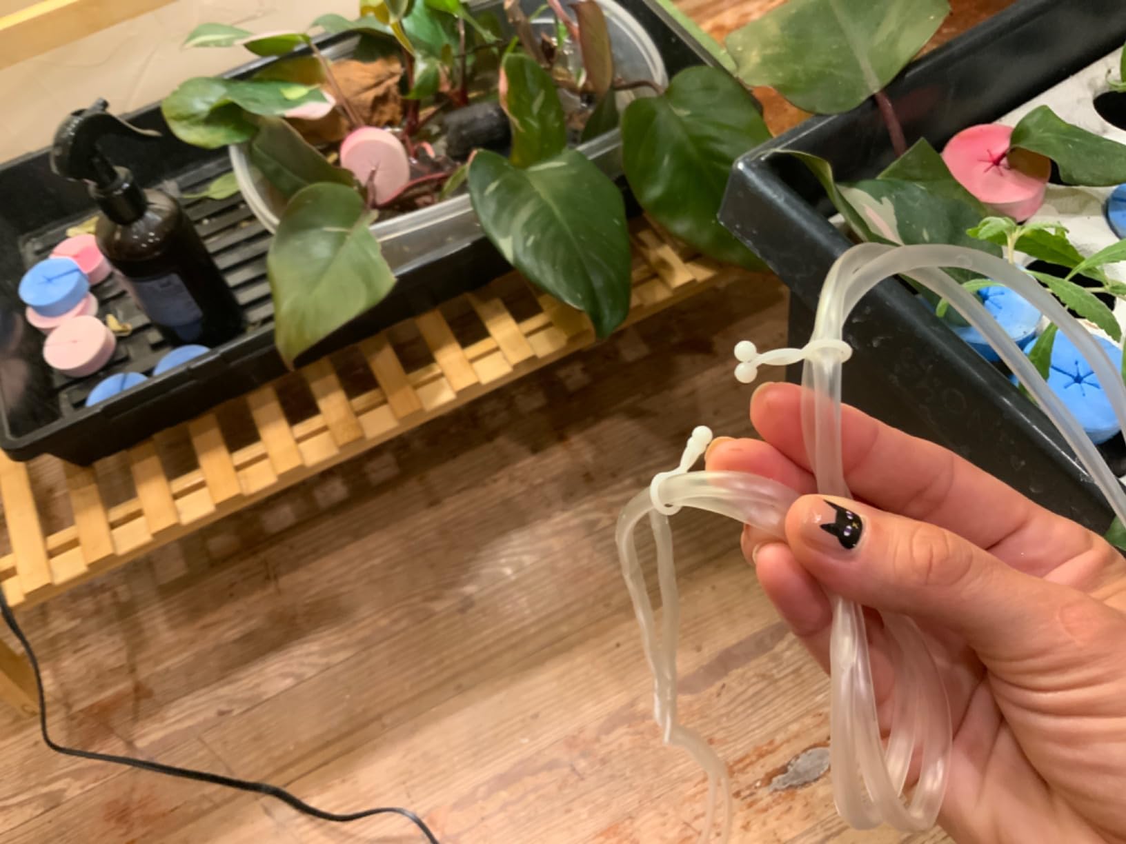 HORTIPOTS DWC Air Diffuser Bubbler Kit with Oxygen Air Pump for DIY Hydroponic Bubbler Bucket System Deep Water Cloner 24 Site and Aeroponic Clone Machine 35 Site customer photo 2