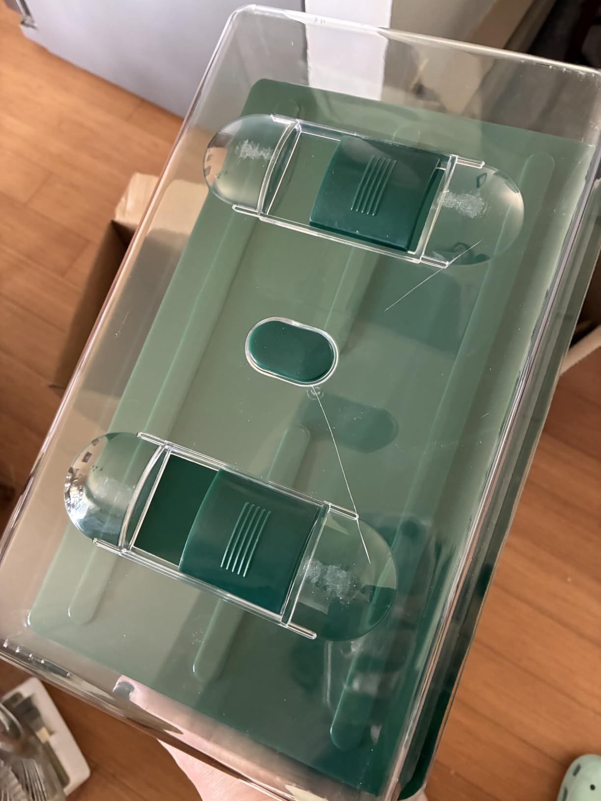 Propagator Tray with Vented Dome, Thick Mini Greenhouse for Seedlings customer photo 1