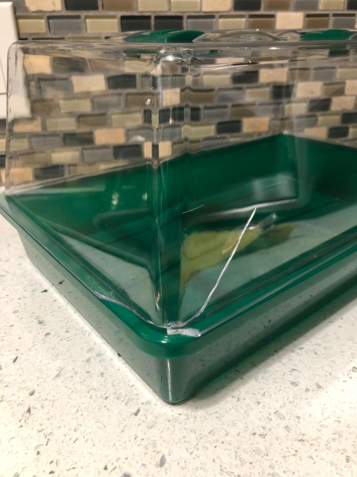 Propagator Tray with Vented Dome, Thick Mini Greenhouse for Seedlings customer photo 2