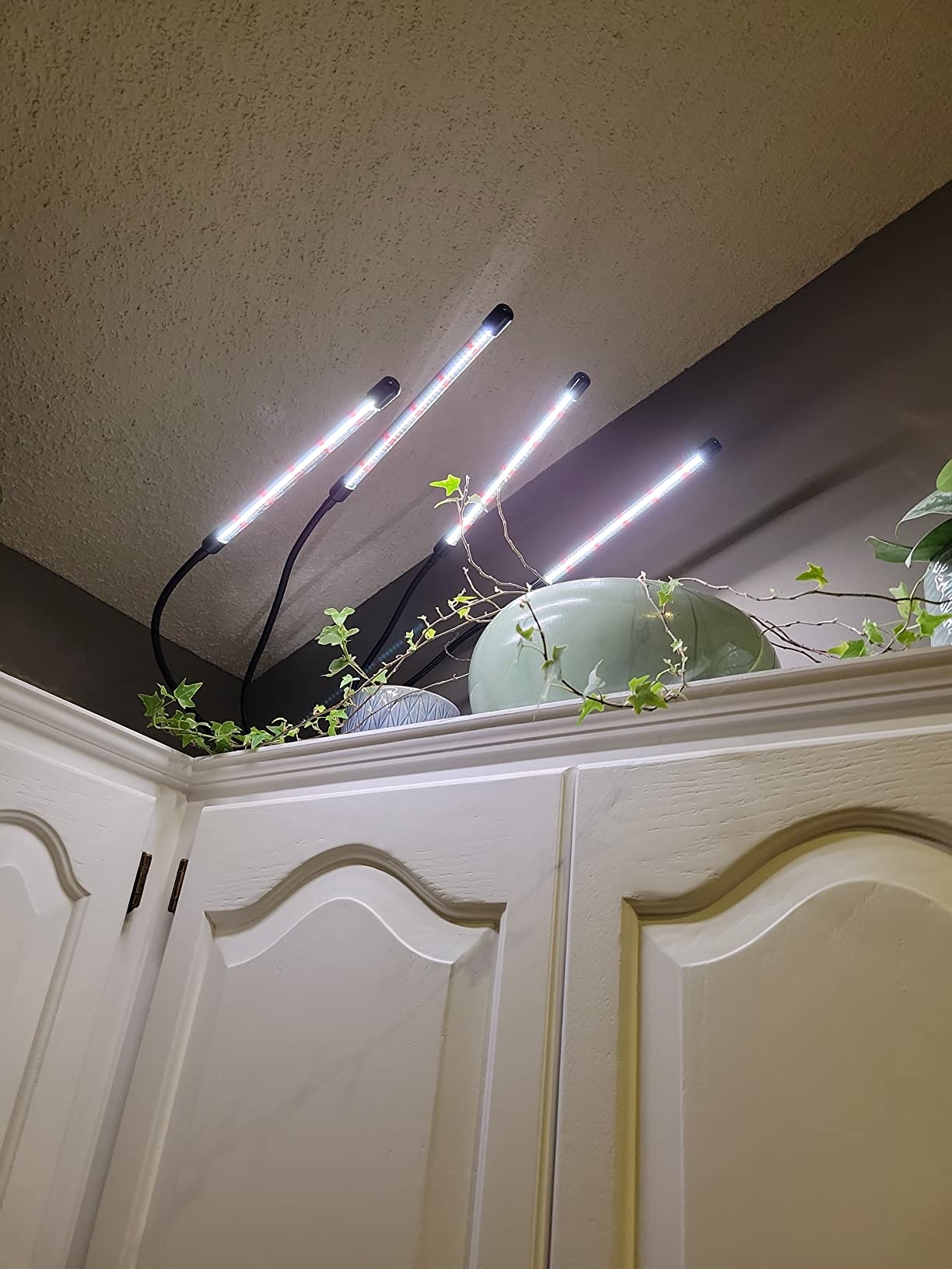 GHodec Grow Light,Full Spectrum White 84 LED Clip Plant Light customer photo 1