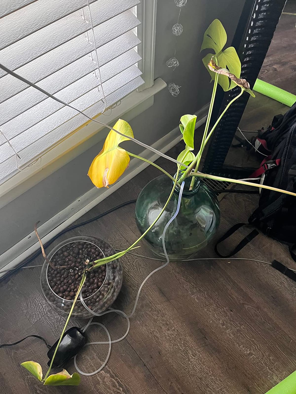 AQUANEAT Aquarium Air Pump, 100 Gal Fish Tank Air Pump, Hydroponic Oxygen Aerator with Airline Tubing, Bubbler Stones, Check Valve customer photo 2