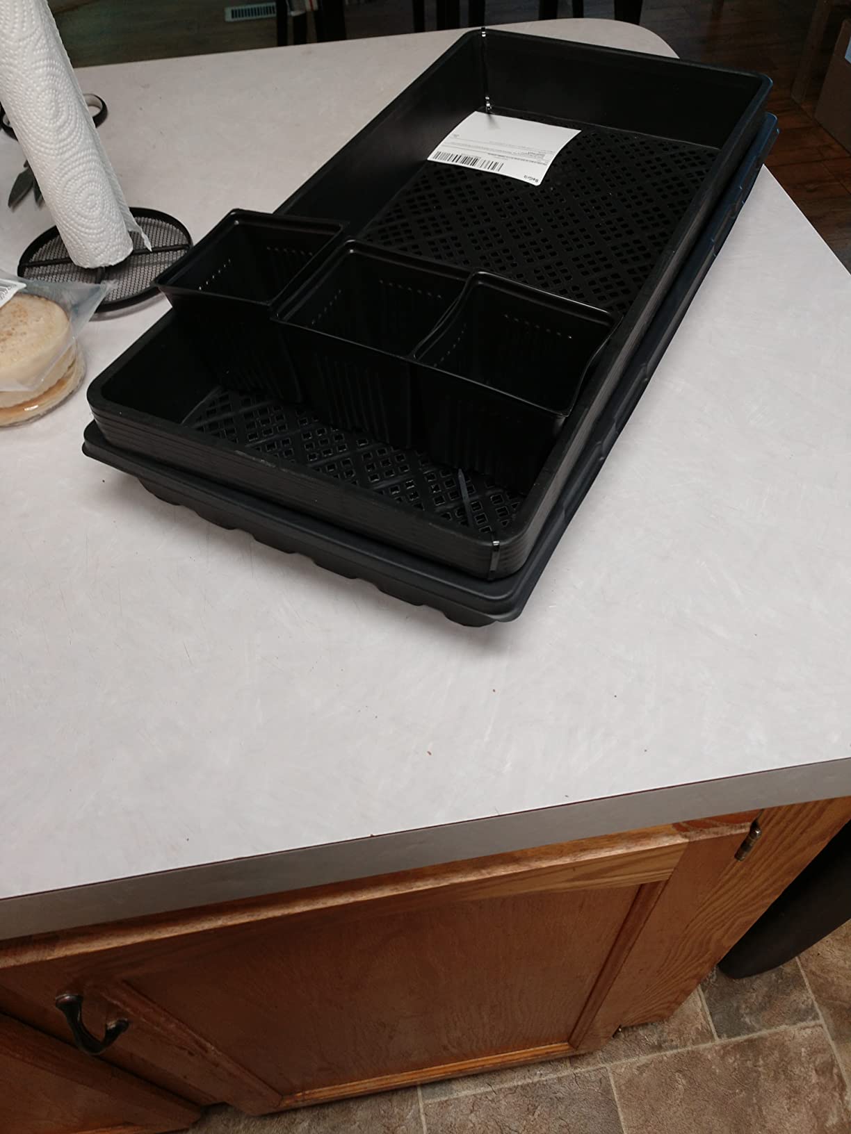 BeGrit 1020 Mesh Bottom Trays with Holes for Seed Starting Germination customer photo 1