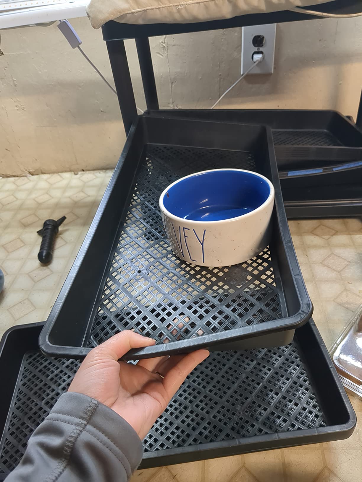 BeGrit 1020 Mesh Bottom Trays with Holes for Seed Starting Germination customer photo 2