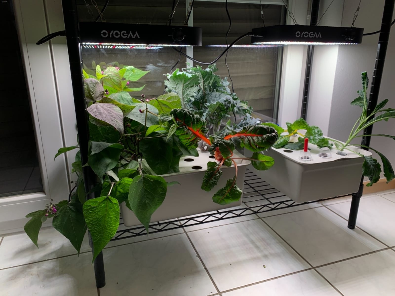 NATGAI Hydroponic System Growing Kit with Air Pump 12 Holes Soilless customer photo 1