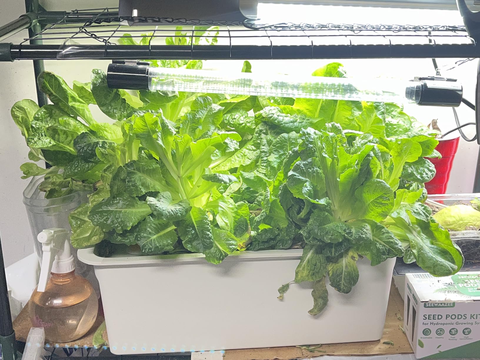 NATGAI Hydroponic System Growing Kit with Air Pump 12 Holes Soilless customer photo 2
