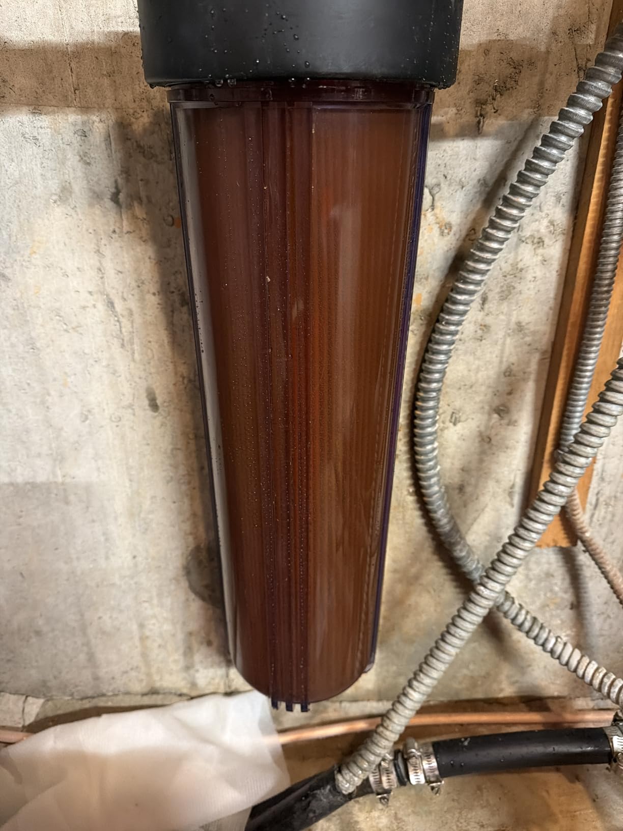PUREPLUS 20