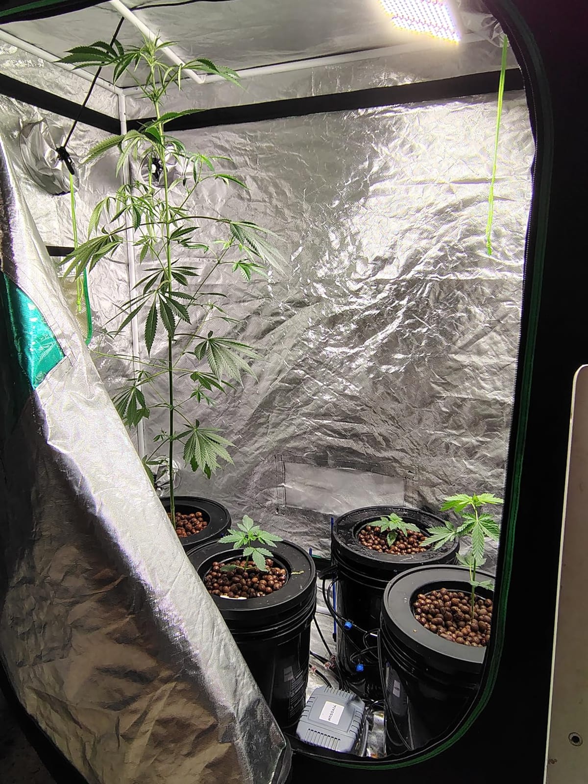 VIVOSUN DWC Hydroponics Grow System with Top Drip Kit 4 Buckets customer photo 2