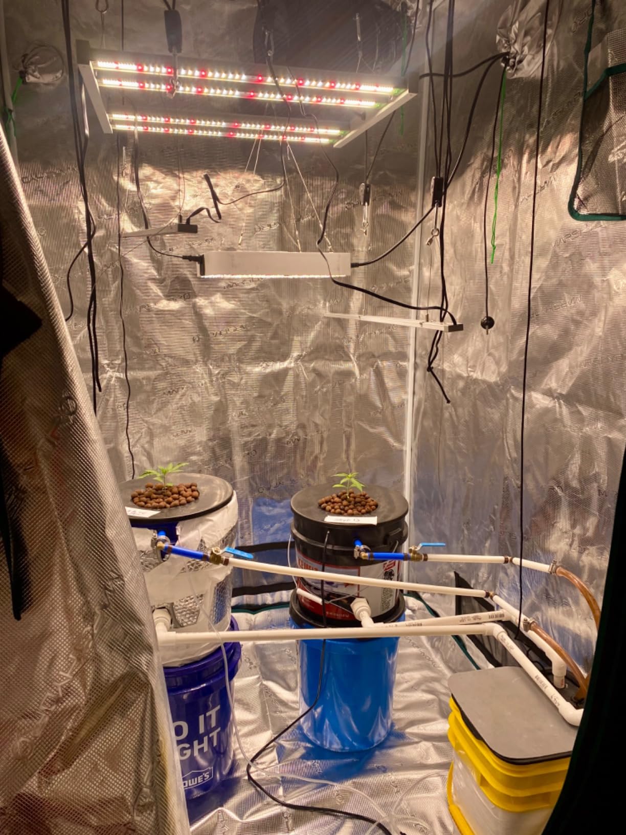 MARS HYDRO 2x2x4 Advanced Grow Tent, 24