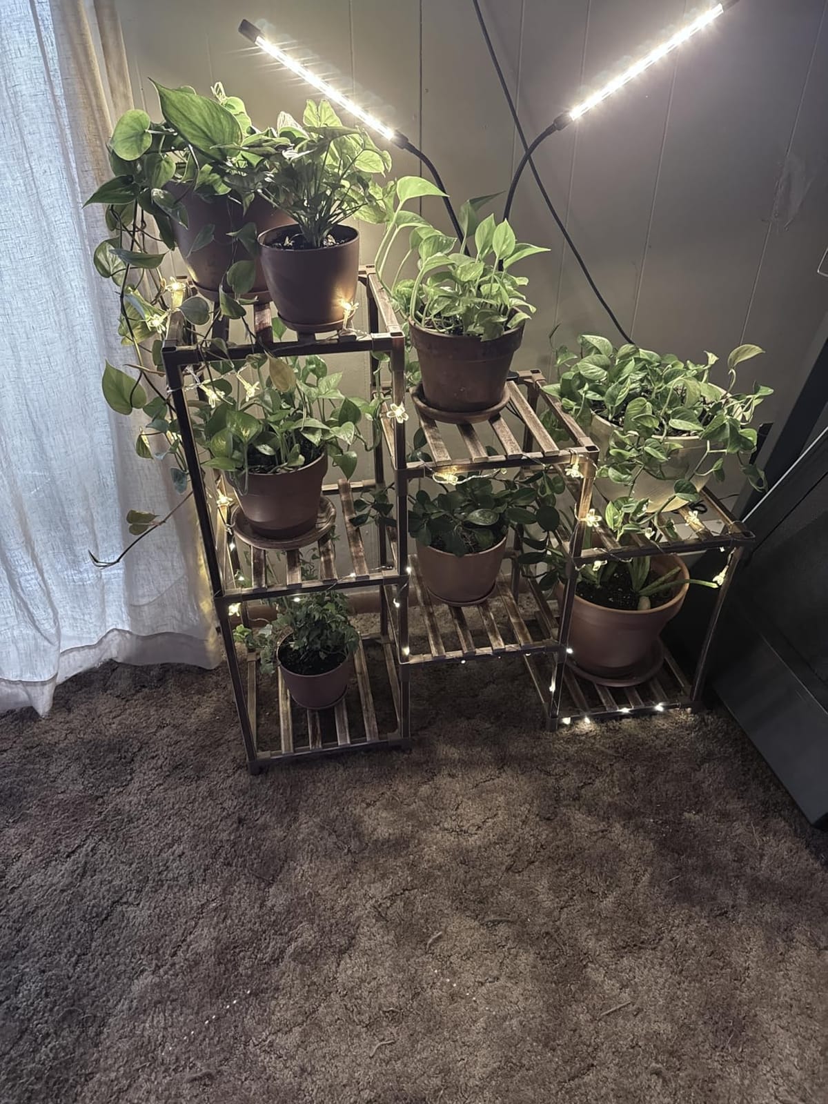 bseah Grow Light Plant Lights for Indoor Plants, Full Spectrum Led Growing Lamp with 3/9/12H Timer, Auto ON & Off, 10 Dimmable Lightness Clip-On Desk customer photo 1
