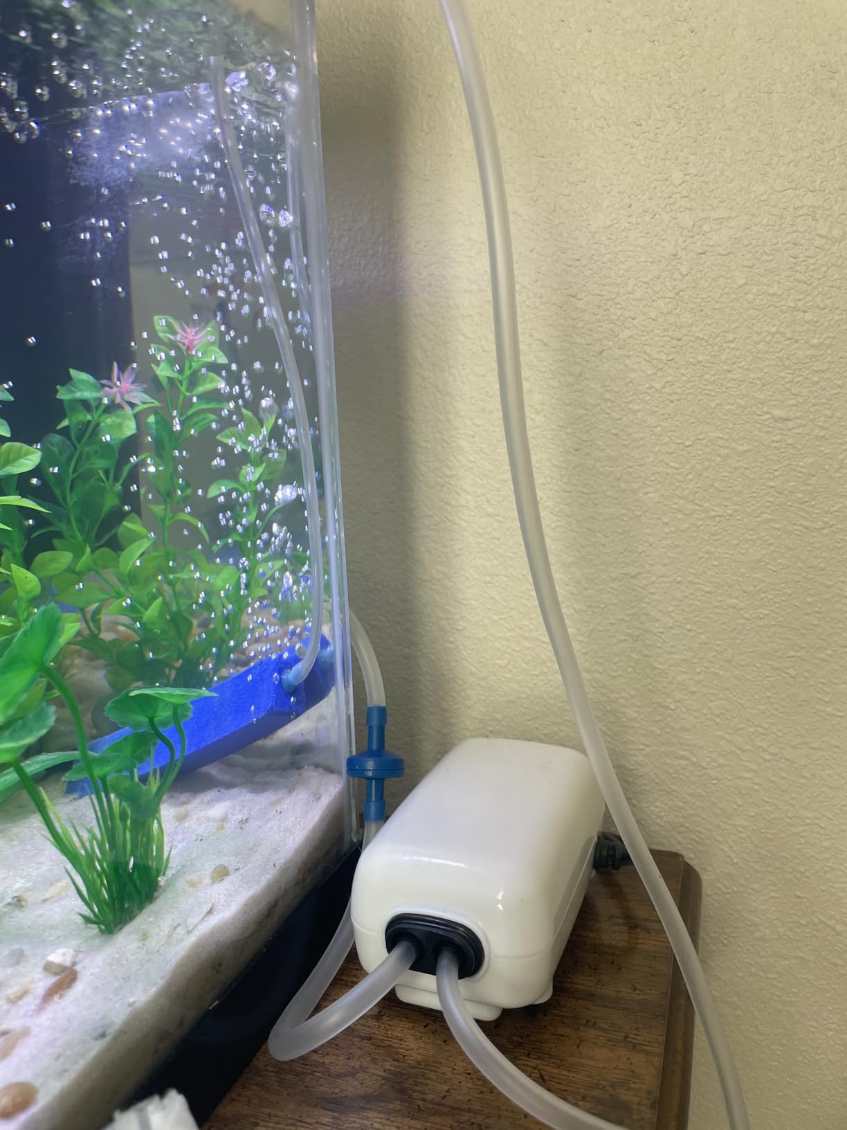 AQUANEAT Aquarium Air Pump for 20-210 Gallon Tank, Fish Air Bubbler, Hydroponic Oxygen Aerator with Stones, Airline Tubing, Check Valves customer photo 2