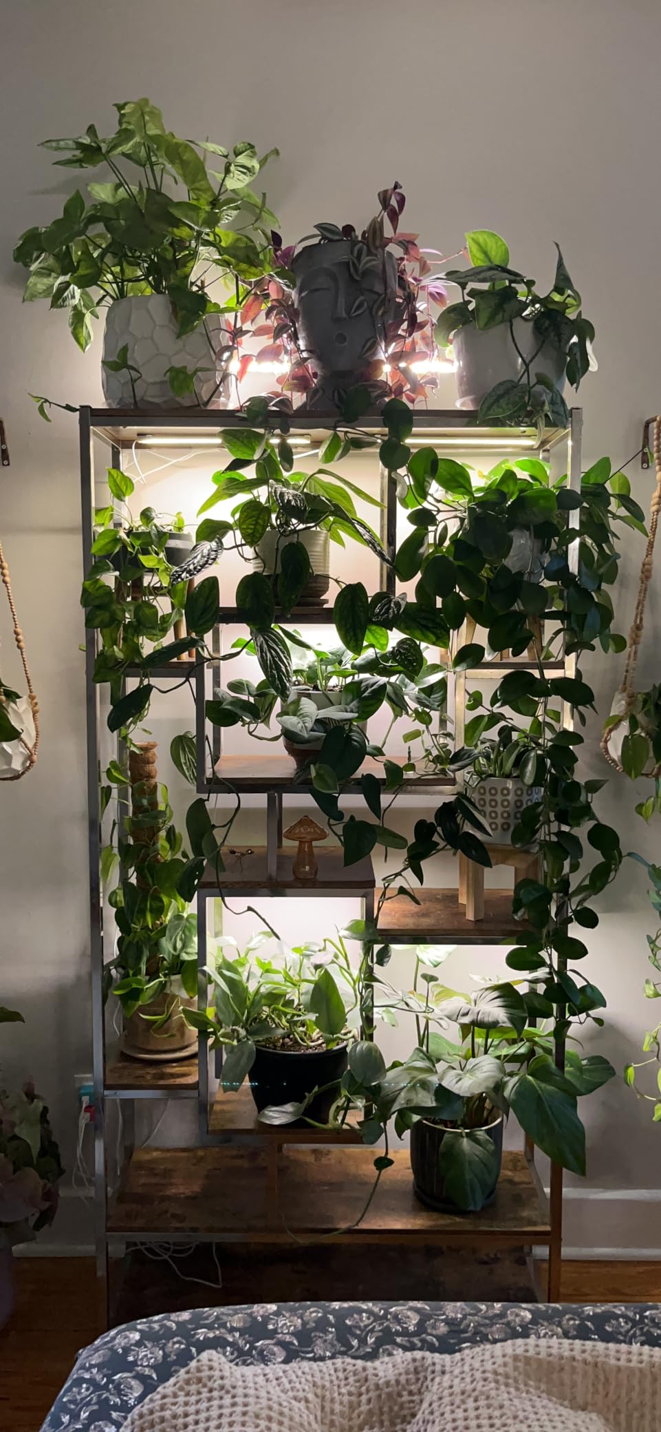 Mosthink Indoor Grow Strip Lights for Under Shelf Cabinet Plants customer photo 2