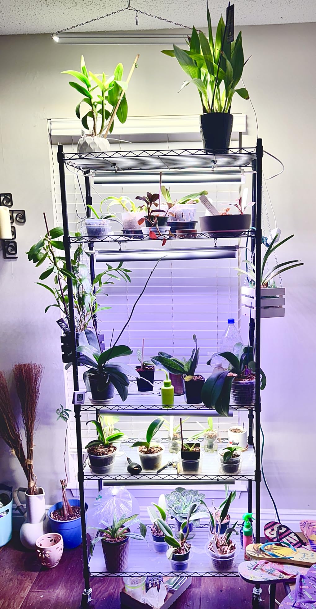 Barrina CX2 Plant Stand with Grow Lights, 6-Tier, 150W, 29.5x13.8x71IN customer photo 1