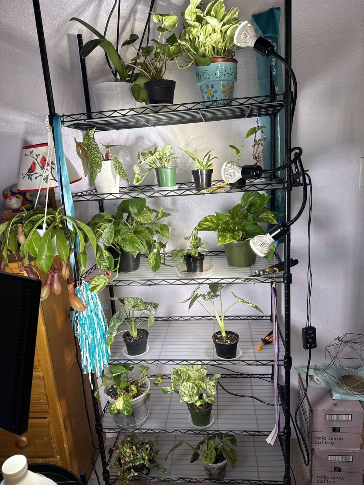Barrina CX2 Plant Stand with Grow Lights, 6-Tier, 150W, 29.5x13.8x71IN customer photo 2