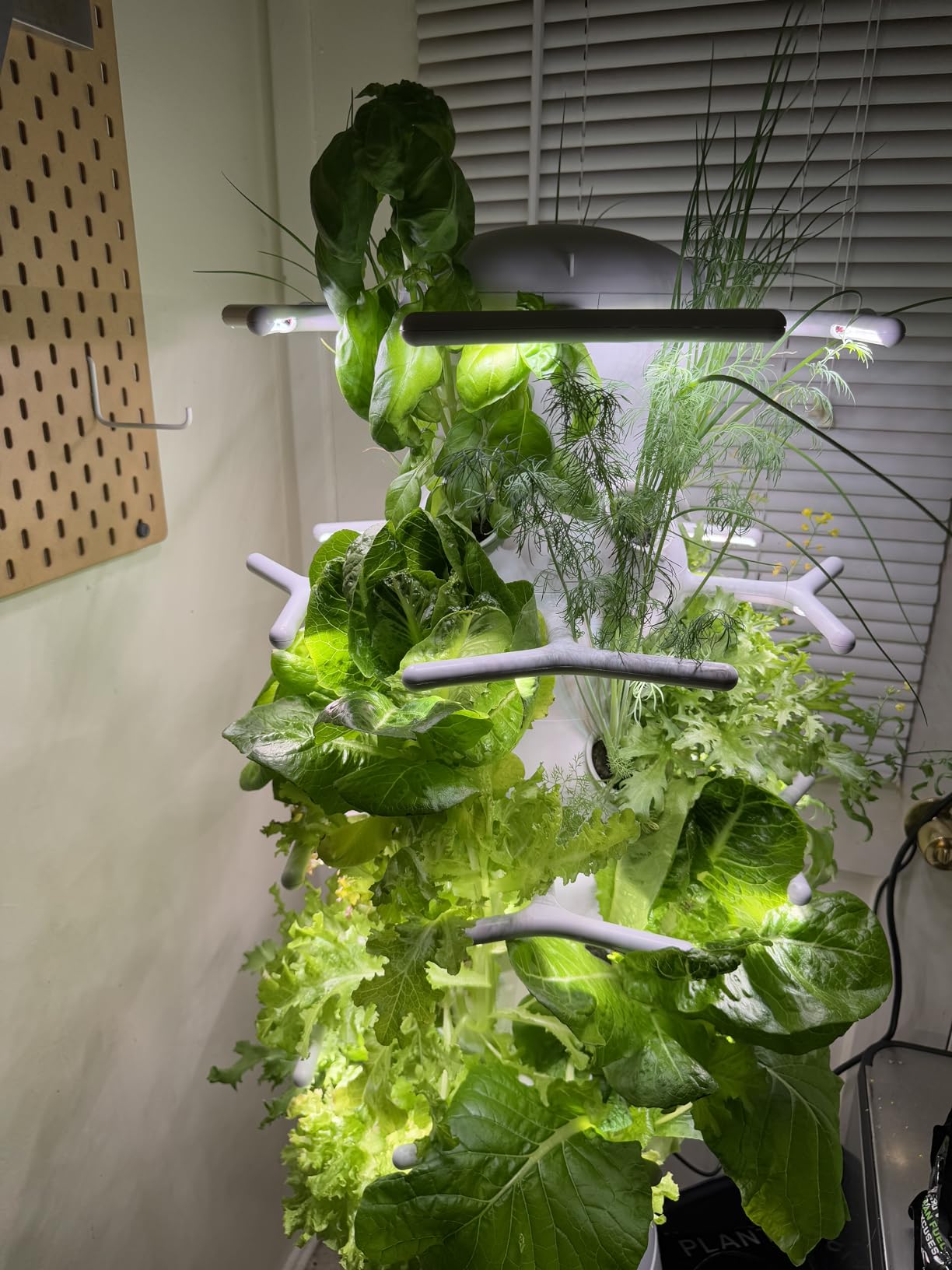 Lettuce Grow Farmstand Nook | 4ft 7in Vertical Hydroponic Garden Tower customer photo 2