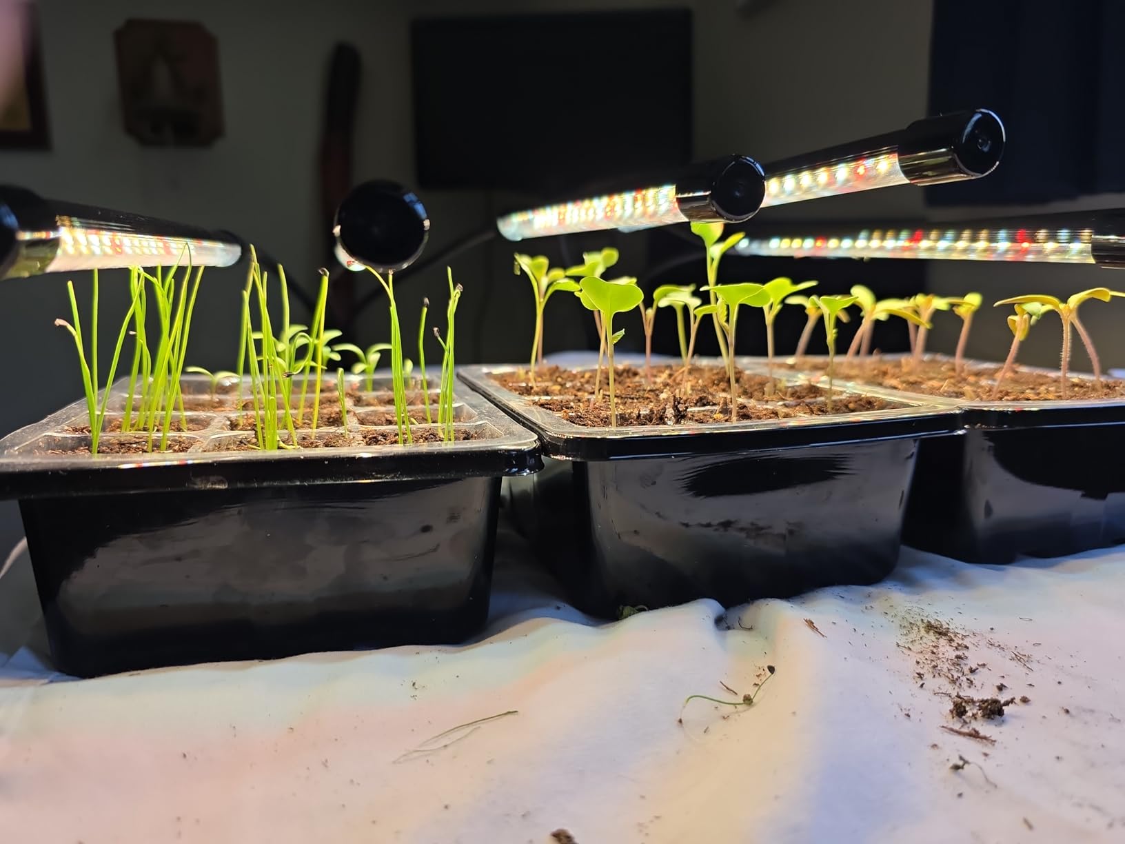 Grow Lights for Indoor Plants, Full Spectrum 2 Head Clip Plant Lights customer photo 2