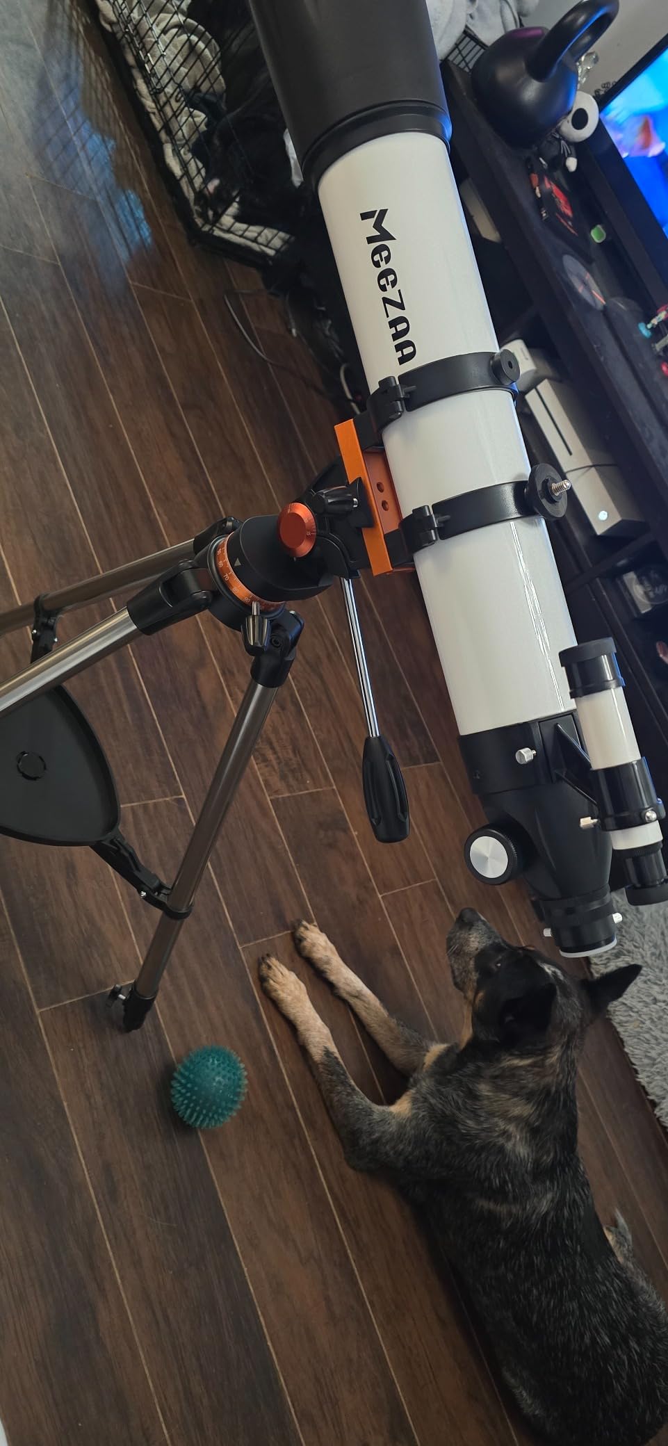 MEEZAA Telescope, Telescope for Adults High Powered Professional, 90mm Aperture 800mm Refractor Telescopes for Astronomy Beginners Stargazing Fully Multi-Coated with Tripod & Phone Adapter & Carry Bag customer photo 2