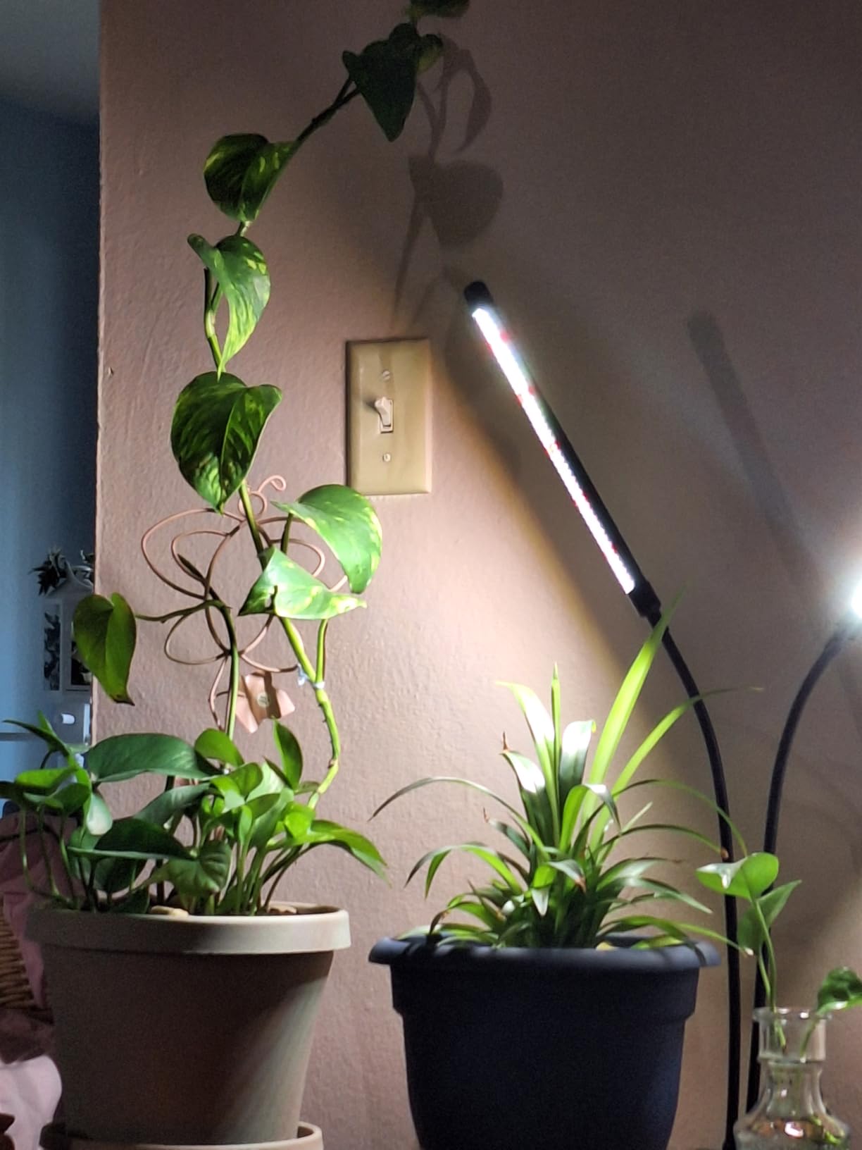 EWPJDK Grow Light 6500K Full Spectrum Plant Grow Lights 84 LED Plant Light with Clip Grow Lamp for Indoor Plants Growing Lamps(1PCS) customer photo 2