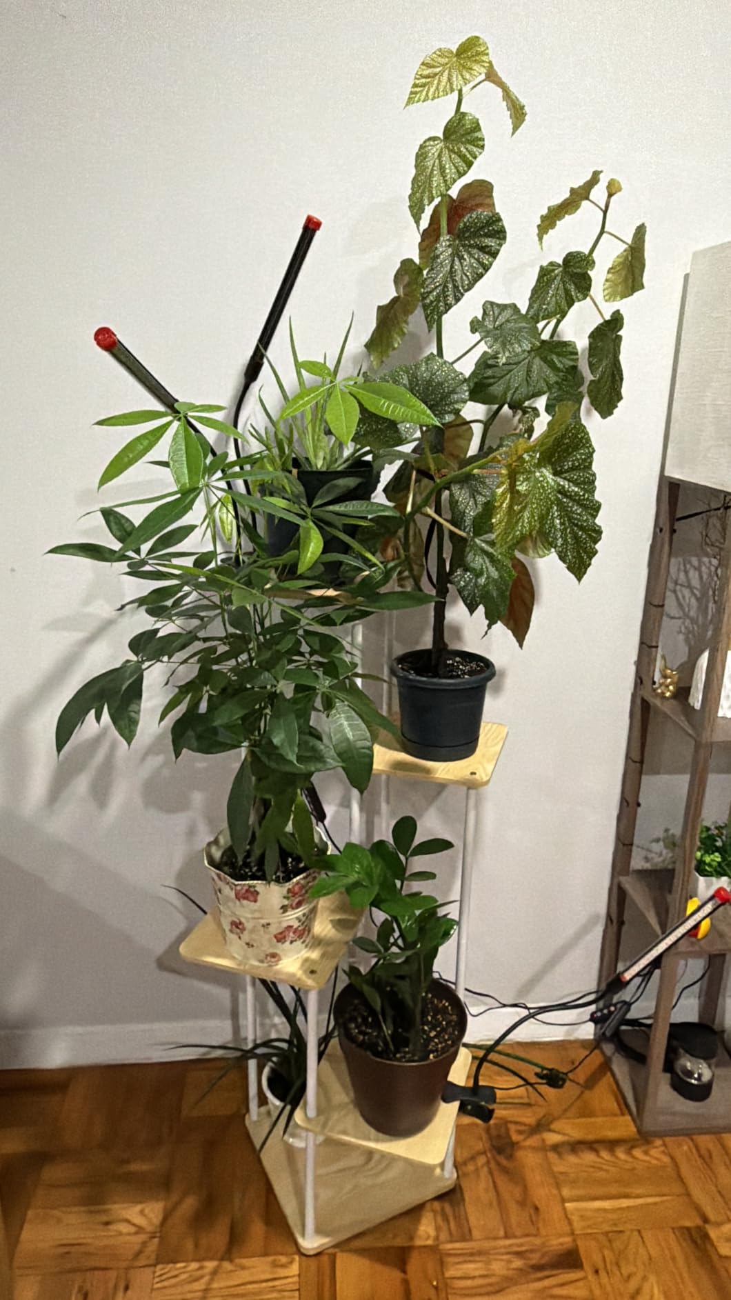 Game Changer! FECiDA 2026 2Pack Clip on Grow Lights for Single Pot Plant customer photo 1