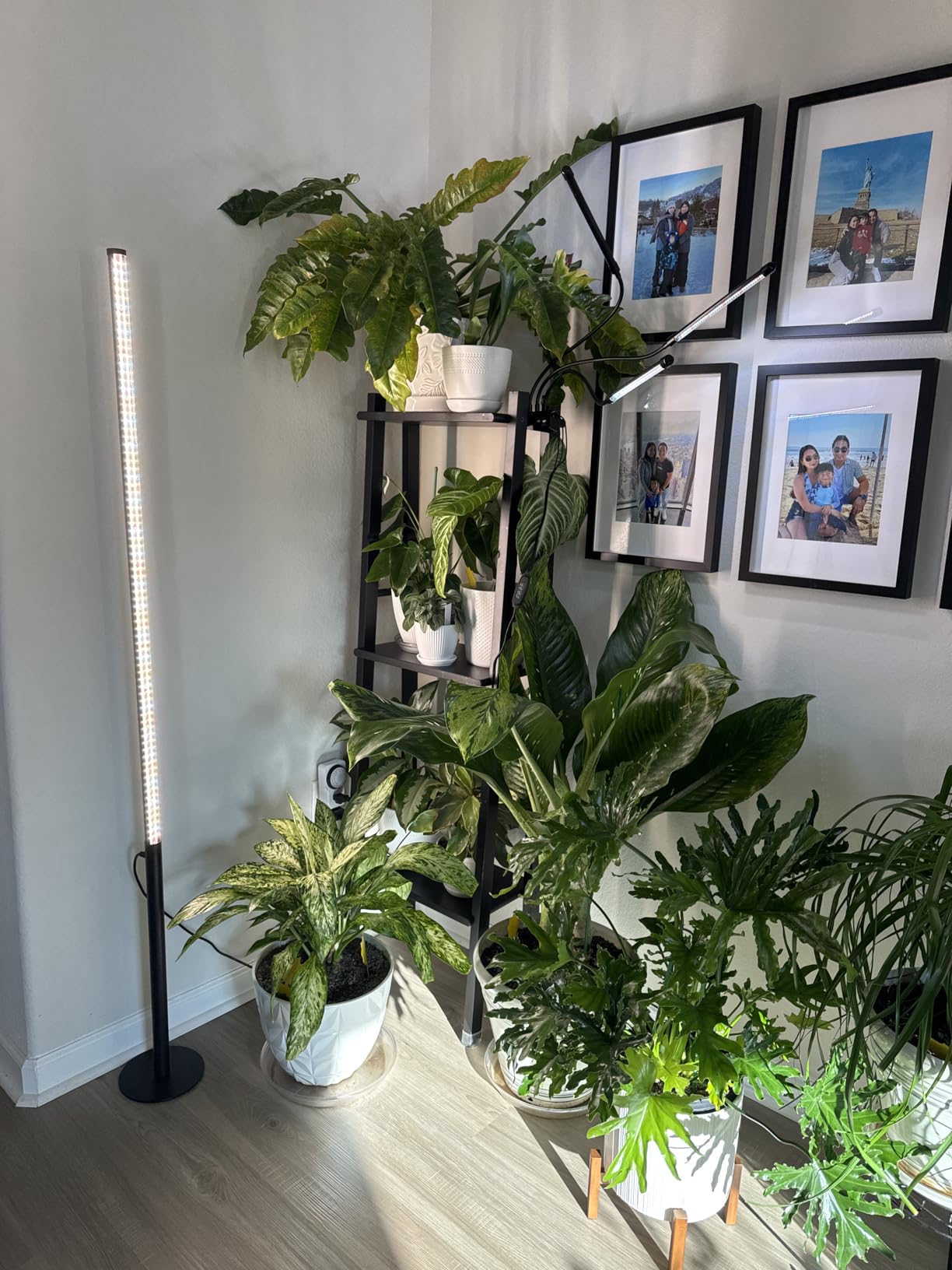 Barrina T10 Pro Vertical Grow Light, 42W, Full Spectrum, 4FT to 5.6FT customer photo 2