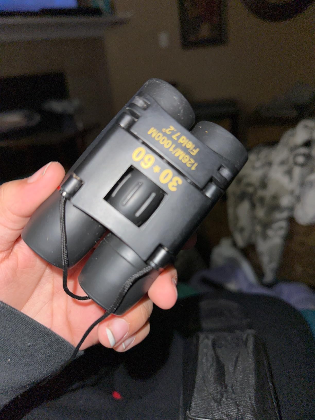 Compact Binoculars for Adults and Kids, HD Mini Portable Outdoor Binoculars Children, Pocket Lightweight Folding for Bird Watching, Hunting, Concert, Theater, Opera, Traveling, Tourism, Shows customer photo 2