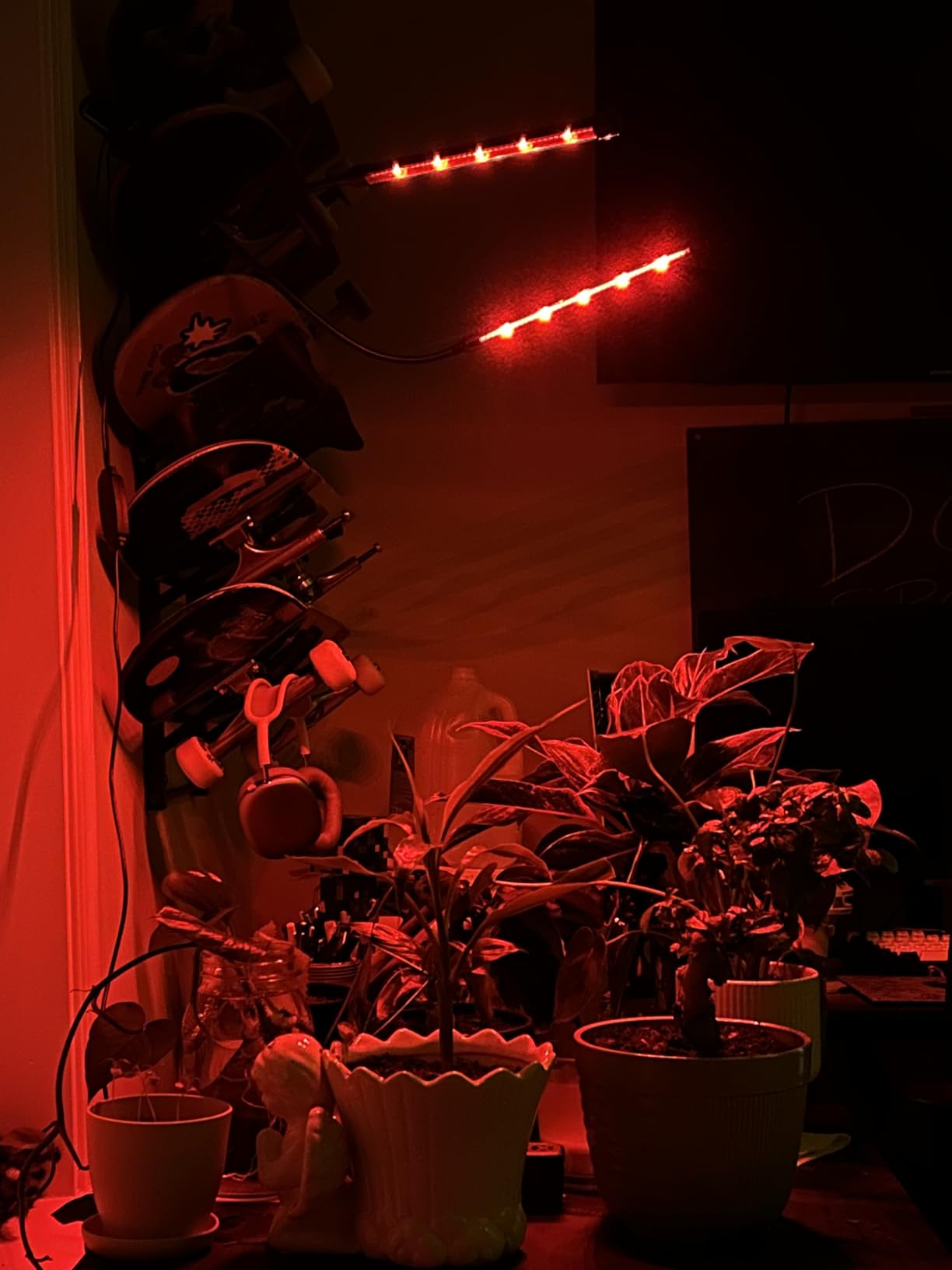 Hywyimlait Grow Lights for Indoor Plants, 84LEDs Clip Plant Lights, Full Spectrum LED Plant Growing Lamps with FlexibleGooseneck4/8/12/18H Timer, 3 Spectral Modes, 10 Dimmable Levels (1 Pack) customer photo 2