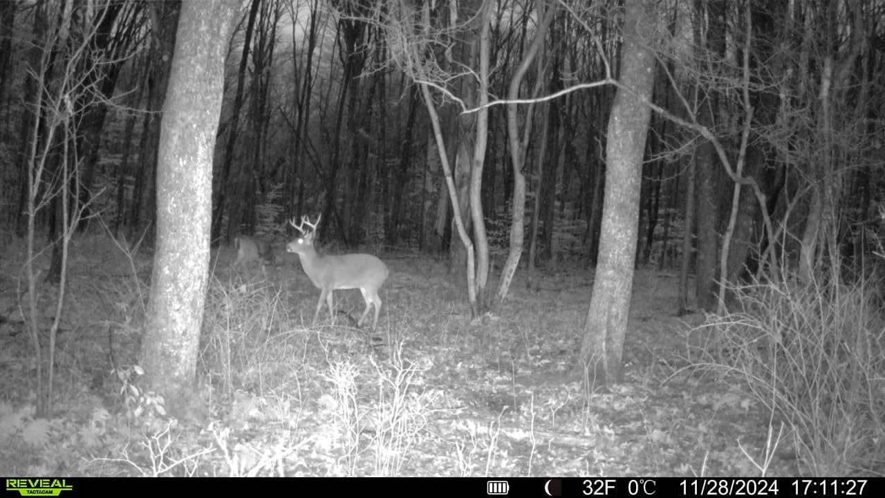 TACTACAM Reveal X 3.0 Cellular Trail Camera, Night Vision, Waterproof customer photo 1