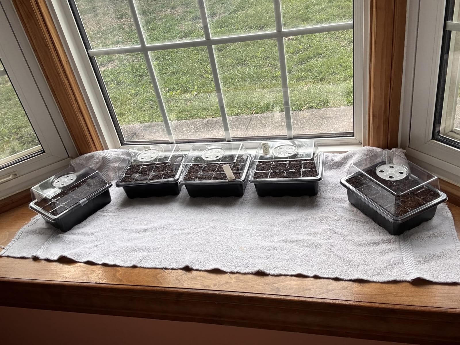 Bonviee 5-Pack Seed Starter Trays, Humidity Dome, Base, 12-Cell Tray, Green customer photo 2