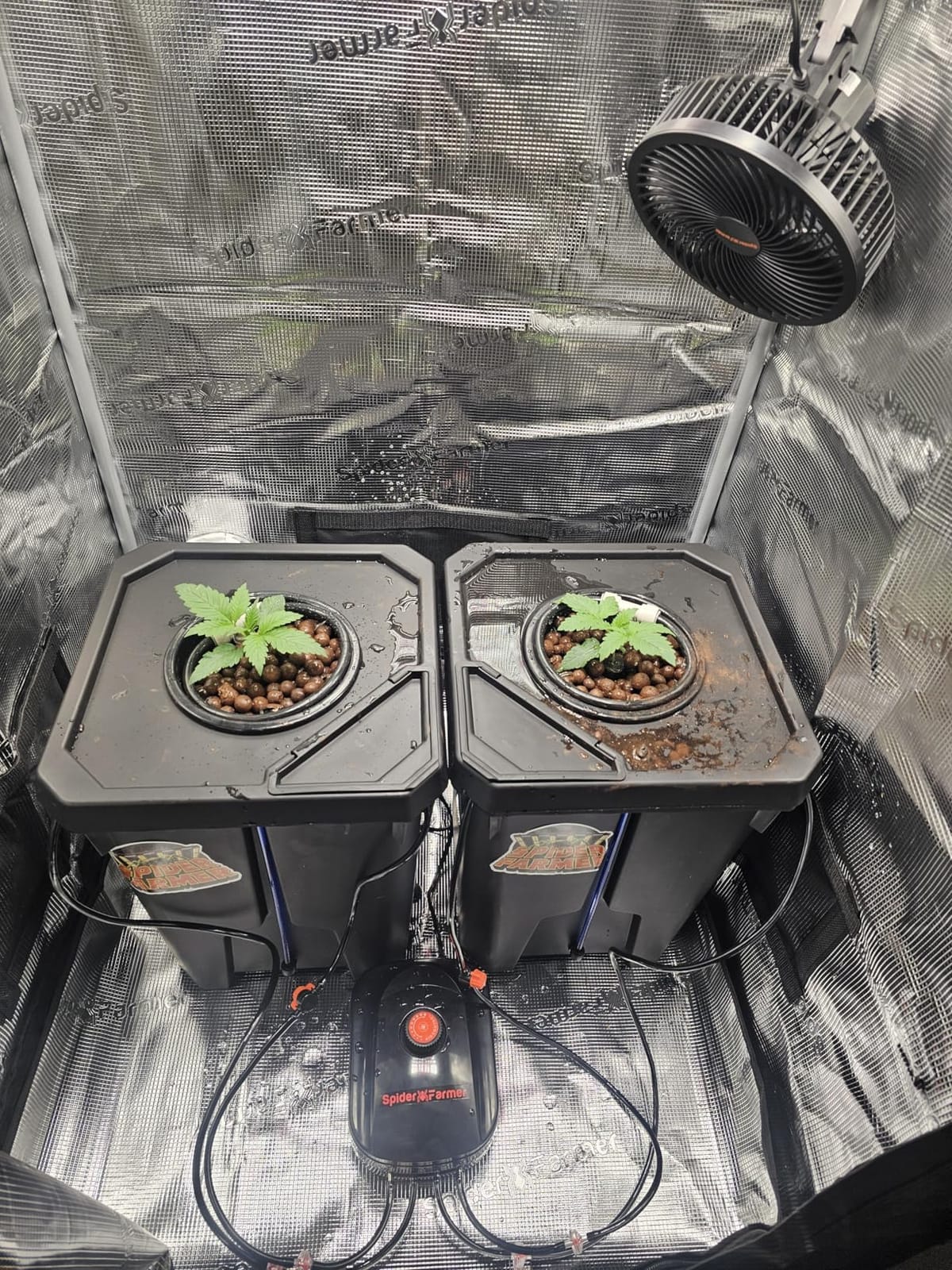 Spider Farmer DWC Hydroponics Growing System Kit 2 Buckets for Indoor Plant customer photo 1