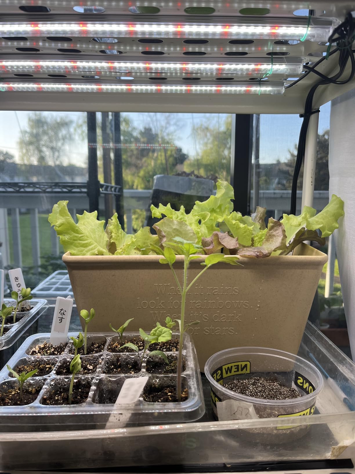 SDOVUERC 16'' 4 Bars Grow Light Strips for Indoor Shelves Plants Growing. customer photo 1