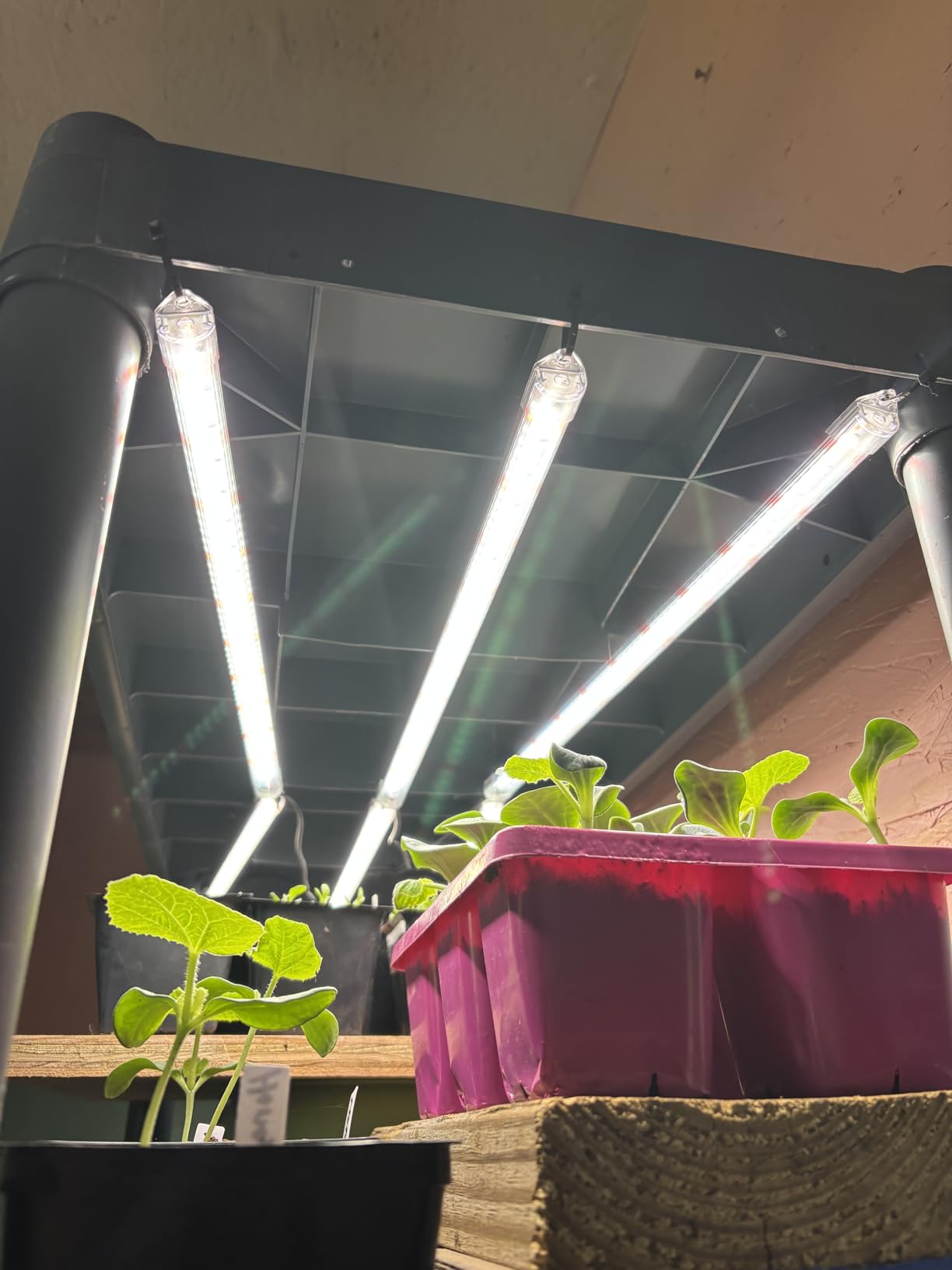 SDOVUERC 16'' 4 Bars Grow Light Strips for Indoor Shelves Plants Growing. customer photo 2