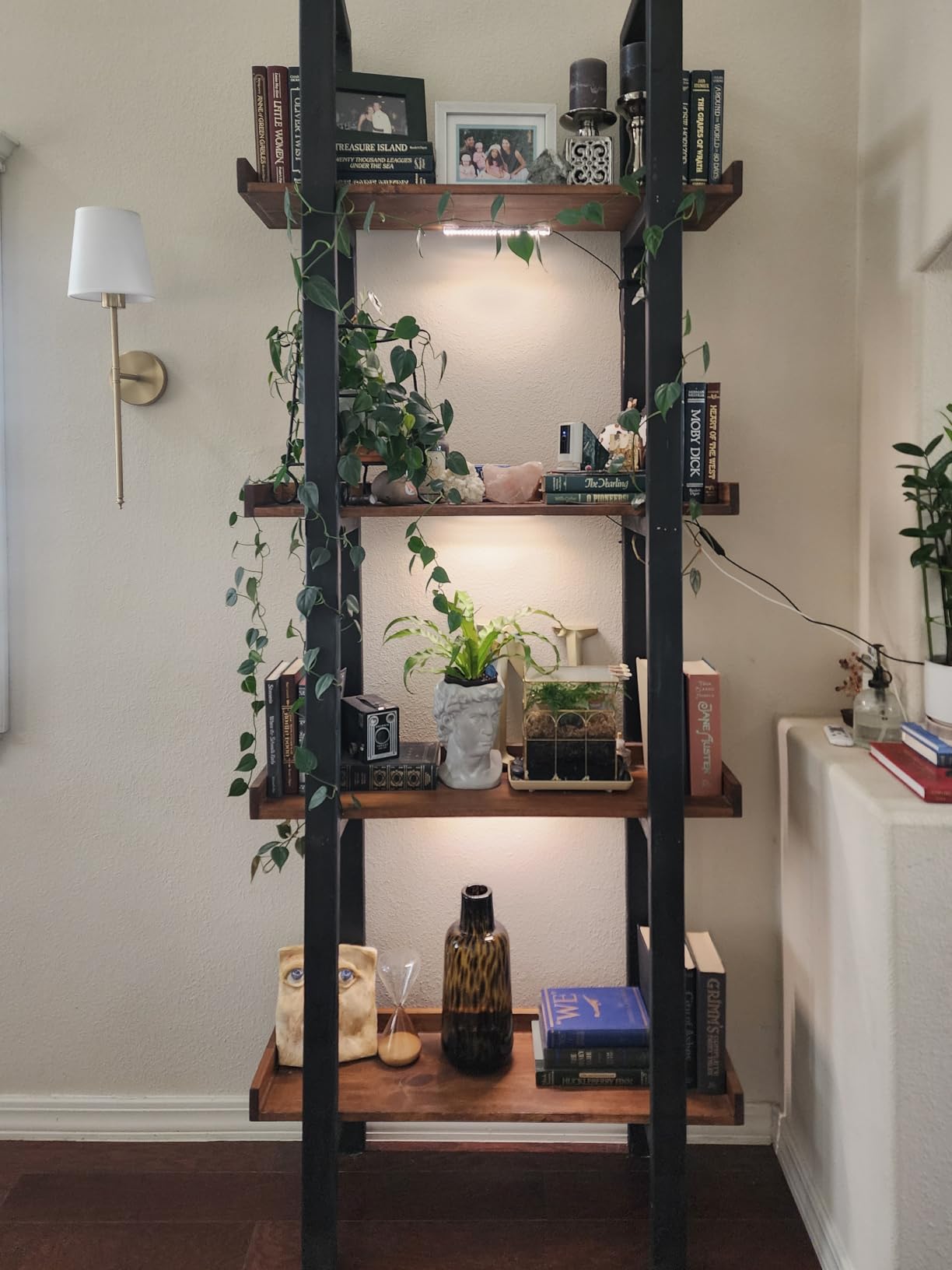 LED Grow Light Strips, Grow Lights for Indoor Plants Full Spectrum 3000K, Plant Light Bar with 3/9/12H Timer, 10 Dimmable Levels for Seedling Succulent,Best Match for Plant Shelf(3 Head×2 Pack) customer photo 2