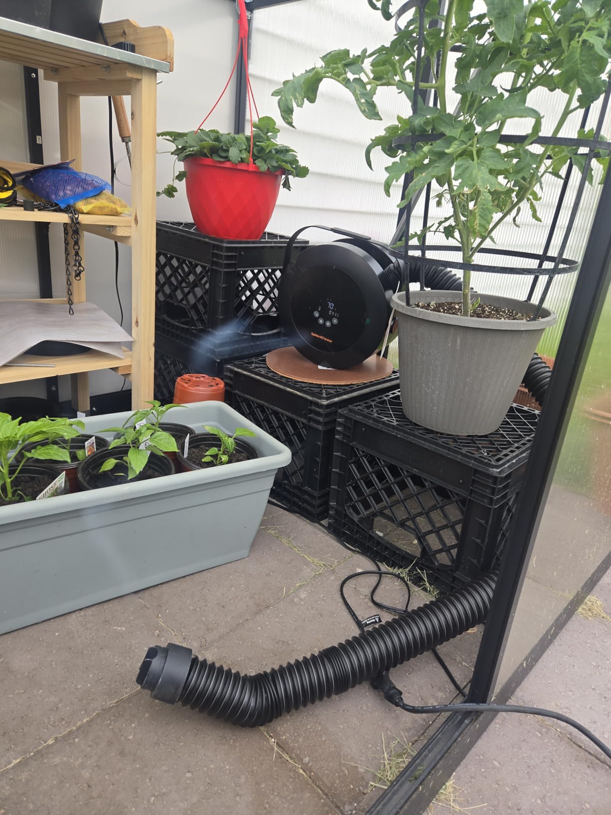 Spider Farmer Heater,530W 10-Level PTC Heating for Grow Tent,Plant Room customer photo 1