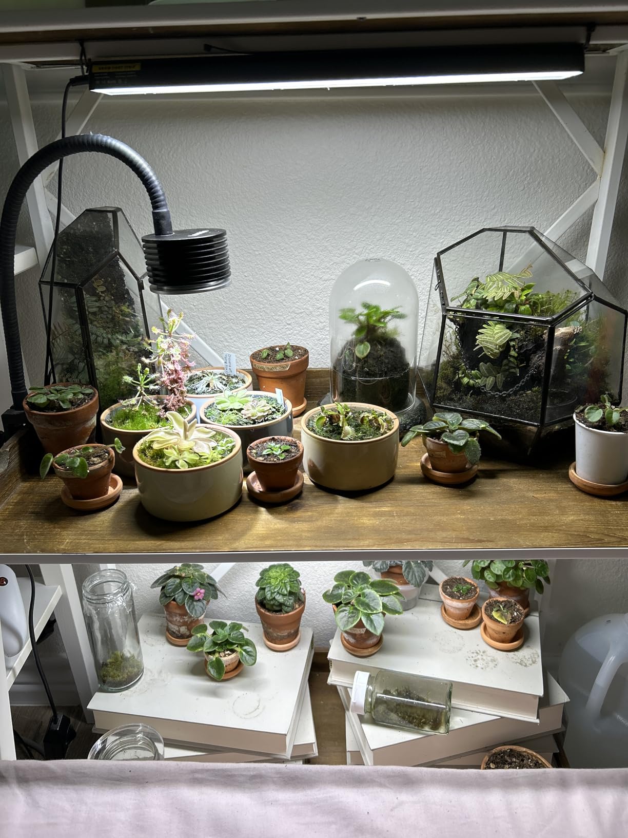 Wolezek 14in Grow Light Strip for Indoor Plants, Full Spectrum customer photo 2