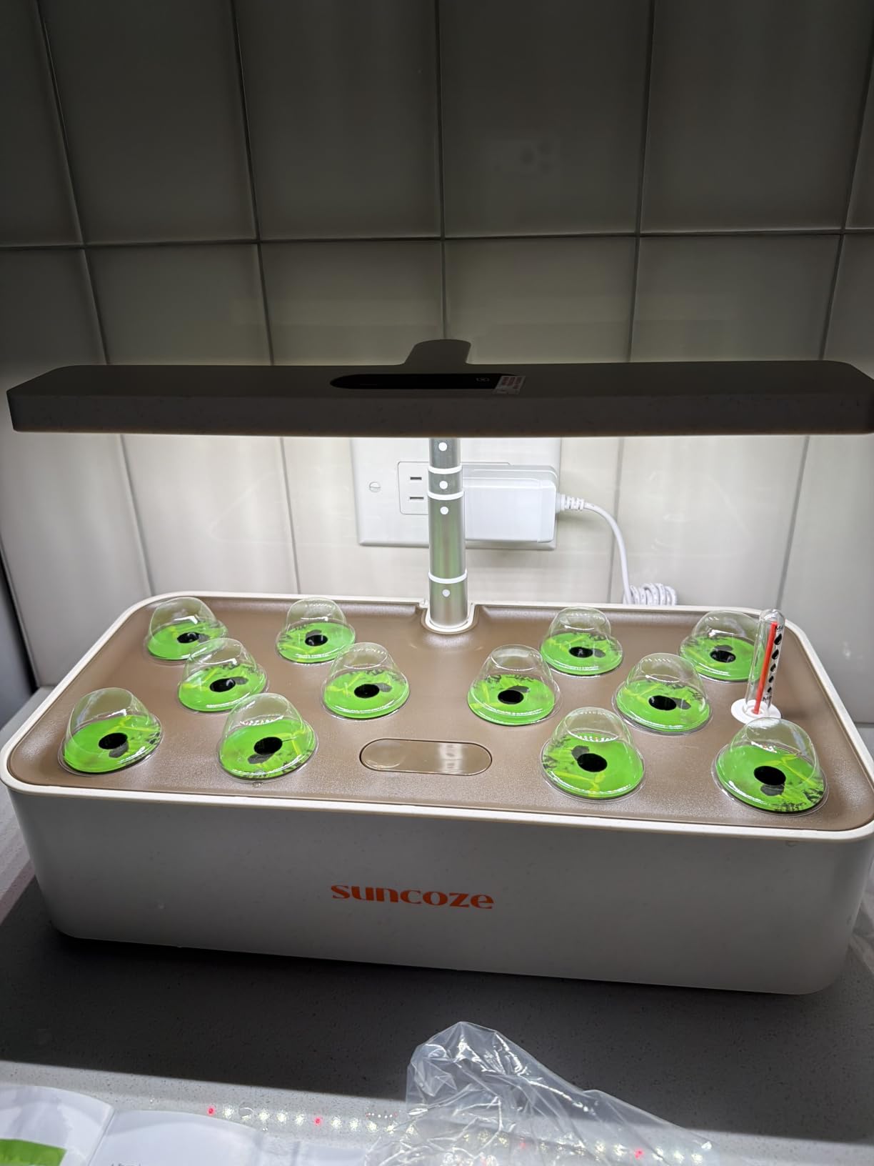 SUNCOZE Hydroponics Growing System, Compact 12 Pods Indoor Garden, Black customer photo 2