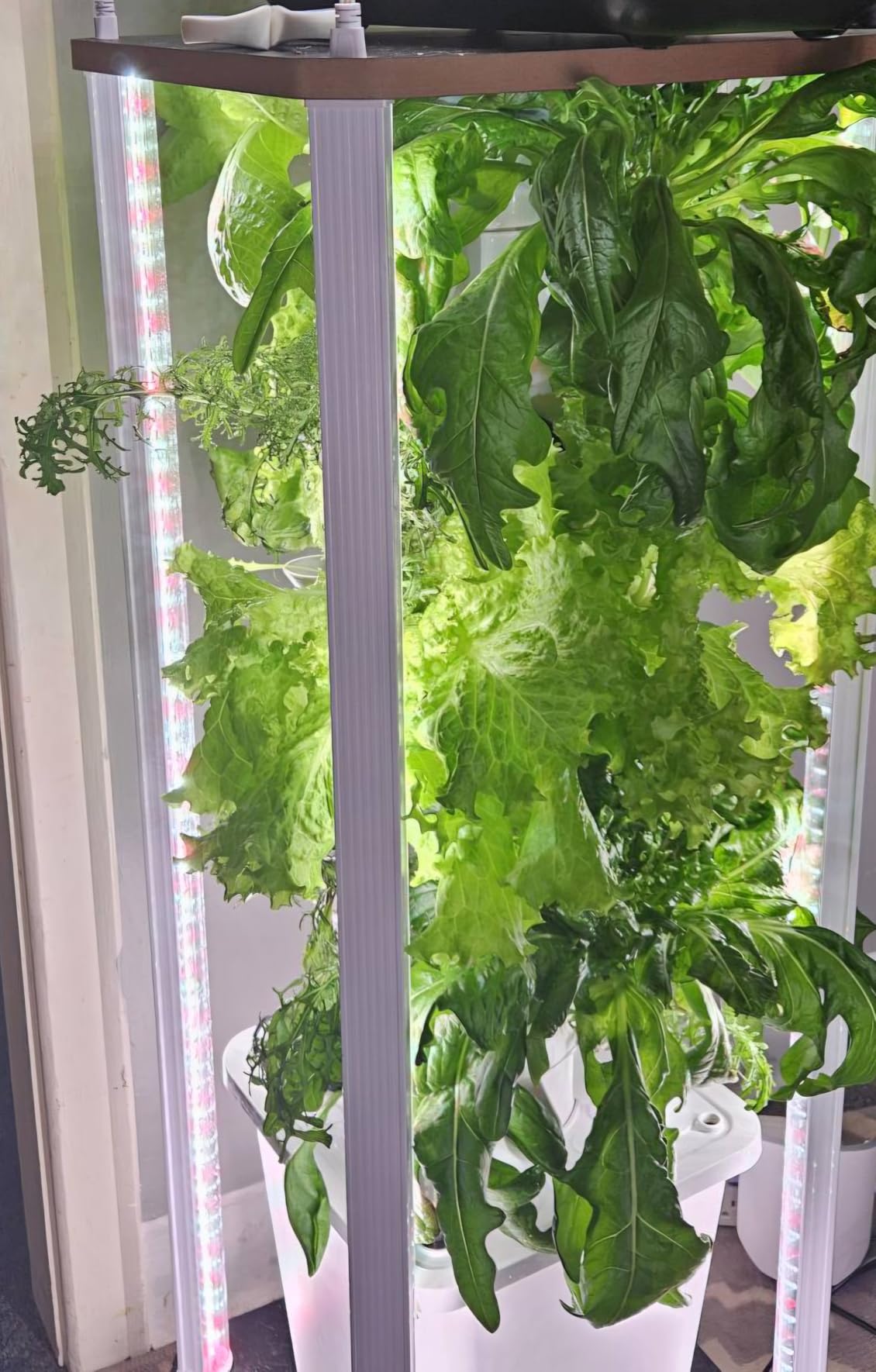 Hydroponic Tower Growing System, 30 Pods Vertical Indoor Garden customer photo 1