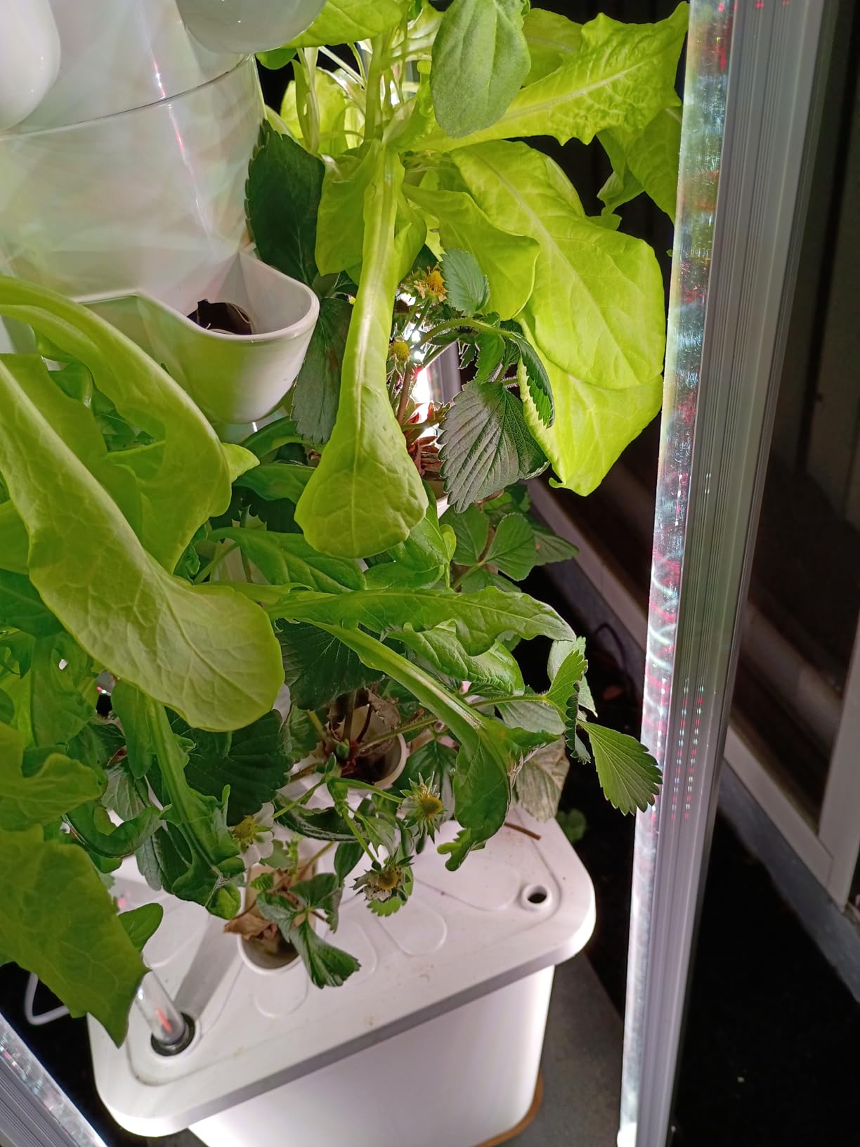 Hydroponic Tower Growing System, 30 Pods Vertical Indoor Garden customer photo 2