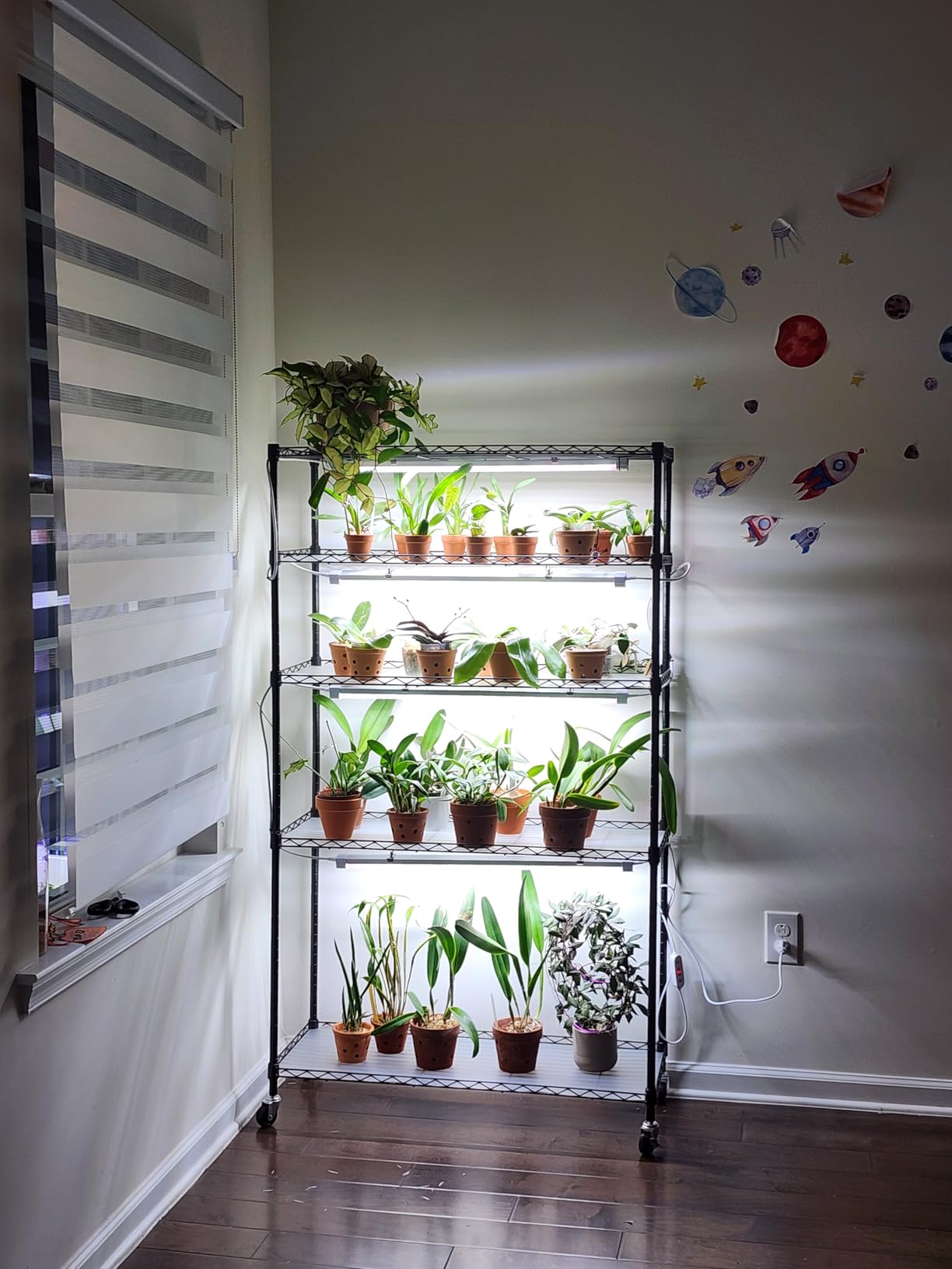 FREELICHT Plant Stand with Grow Light 5-Tier, 4×30W 5000K, 29.5x13.8x61.5IN customer photo 1