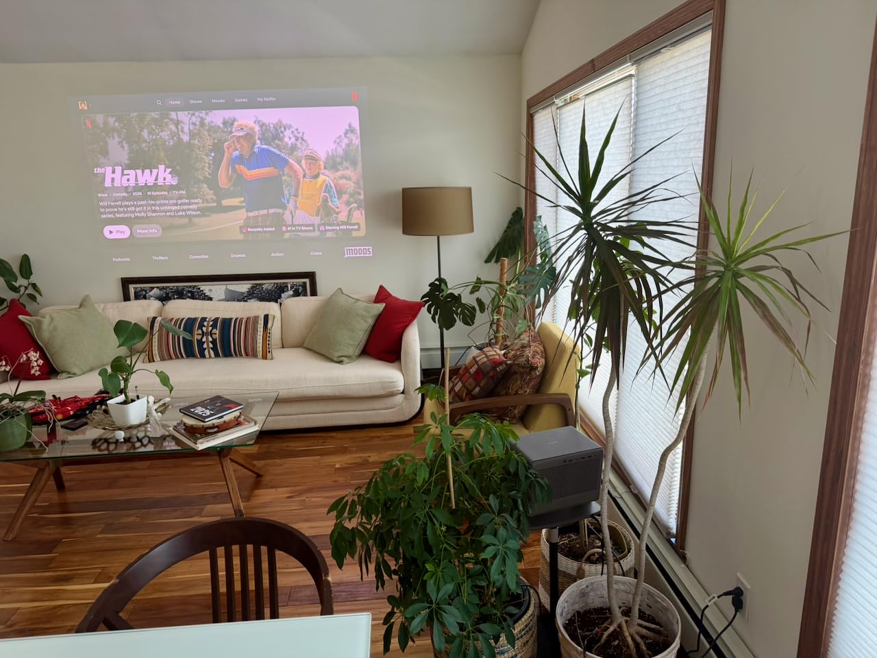 XGIMI HORIZON 20 Pro 4K RGB Triple Laser Home Projector, 4100 ISO Lumens customer photo 1