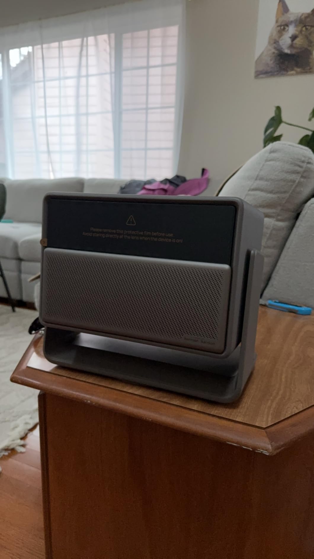 XGIMI HORIZON 20 Pro 4K RGB Triple Laser Home Projector, 4100 ISO Lumens customer photo 2